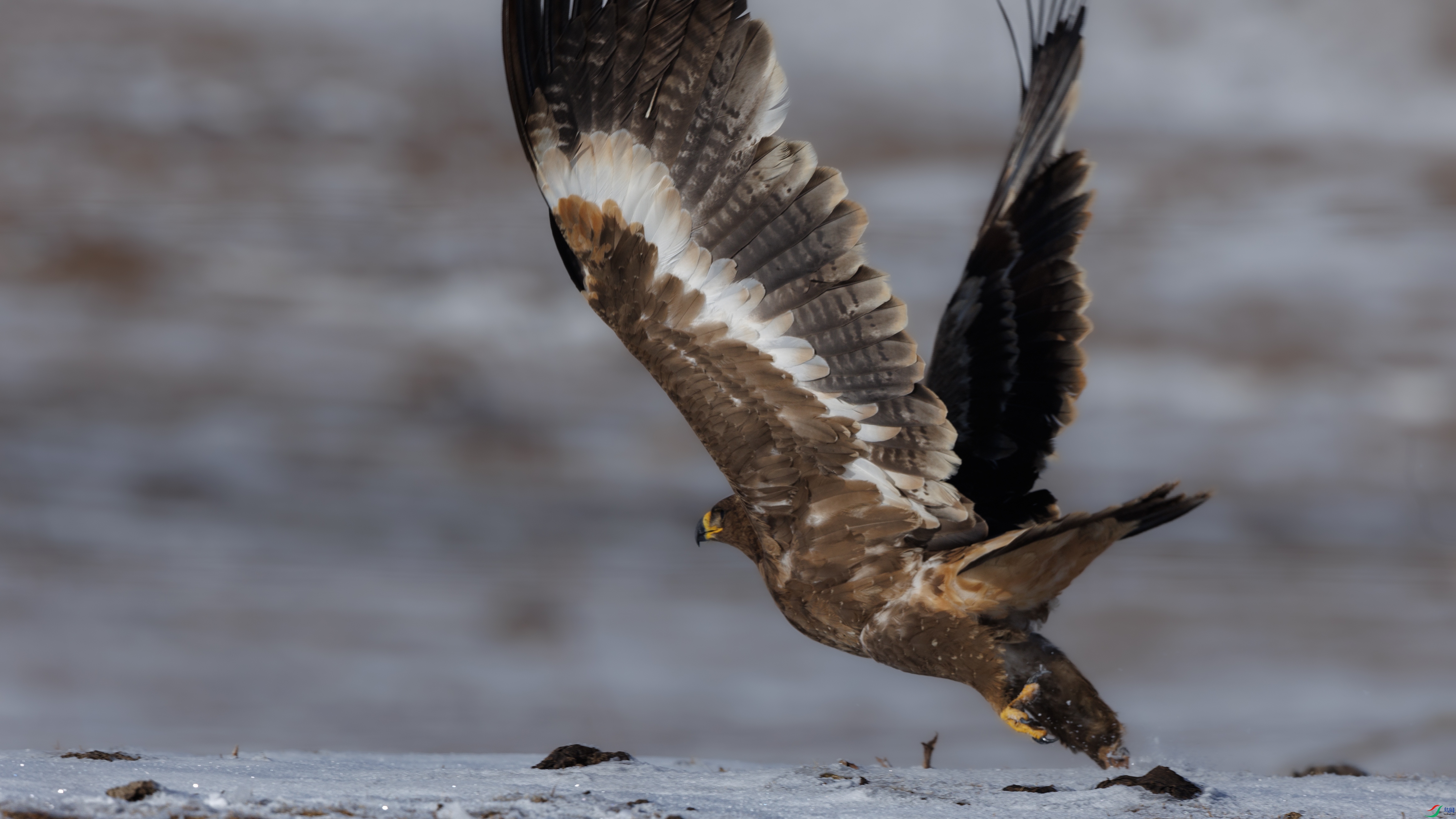 7X5A1404 ����000.jpg