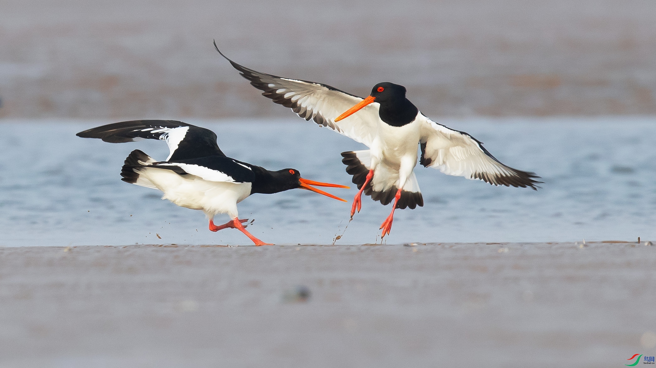 A52I0330_��ͼ��_��ͼ��_��ͼ�� ����.jpg