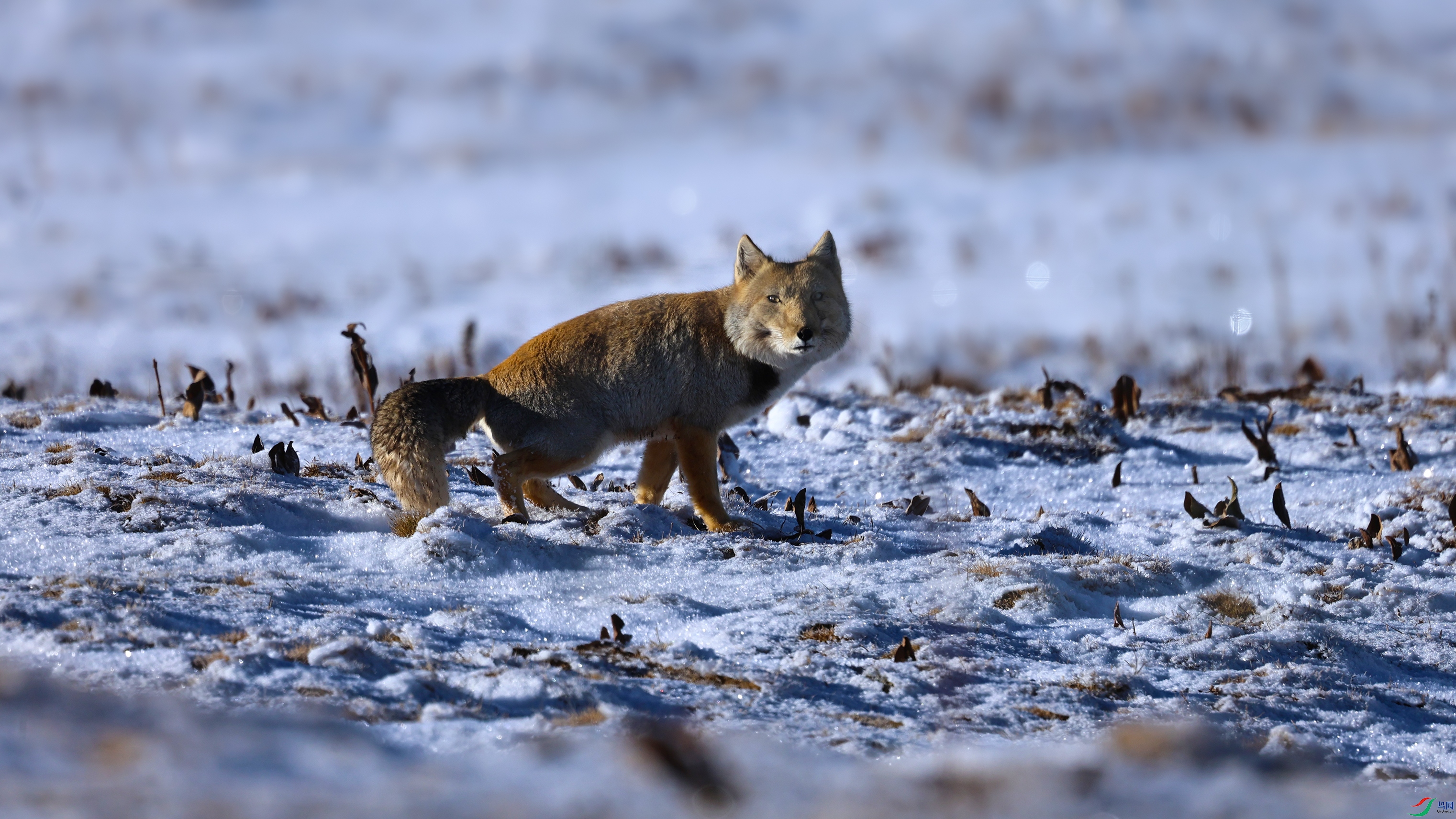 7X5A1605 ����000.jpg