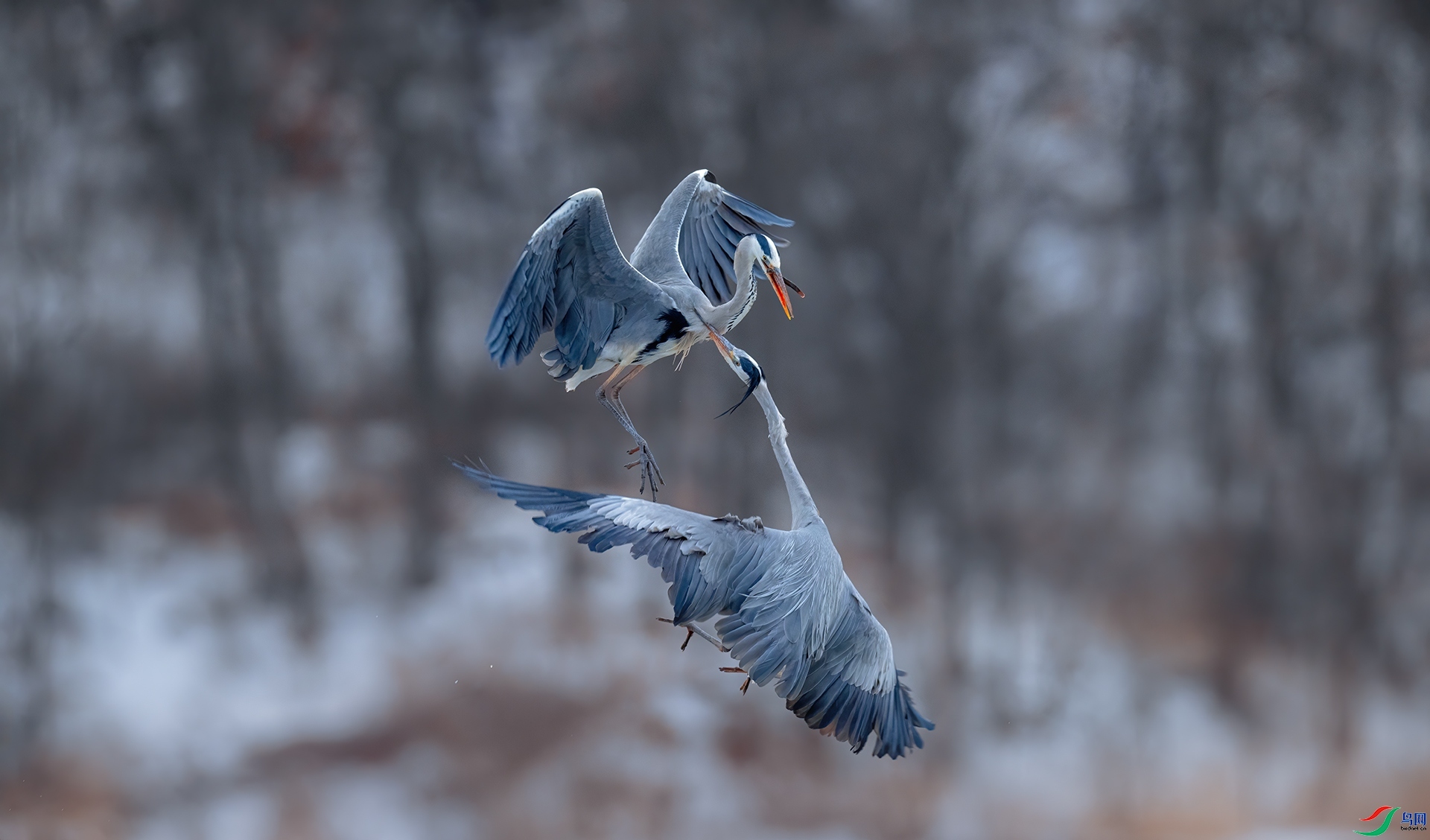 ҧס ���� �������� ��һ.jpg