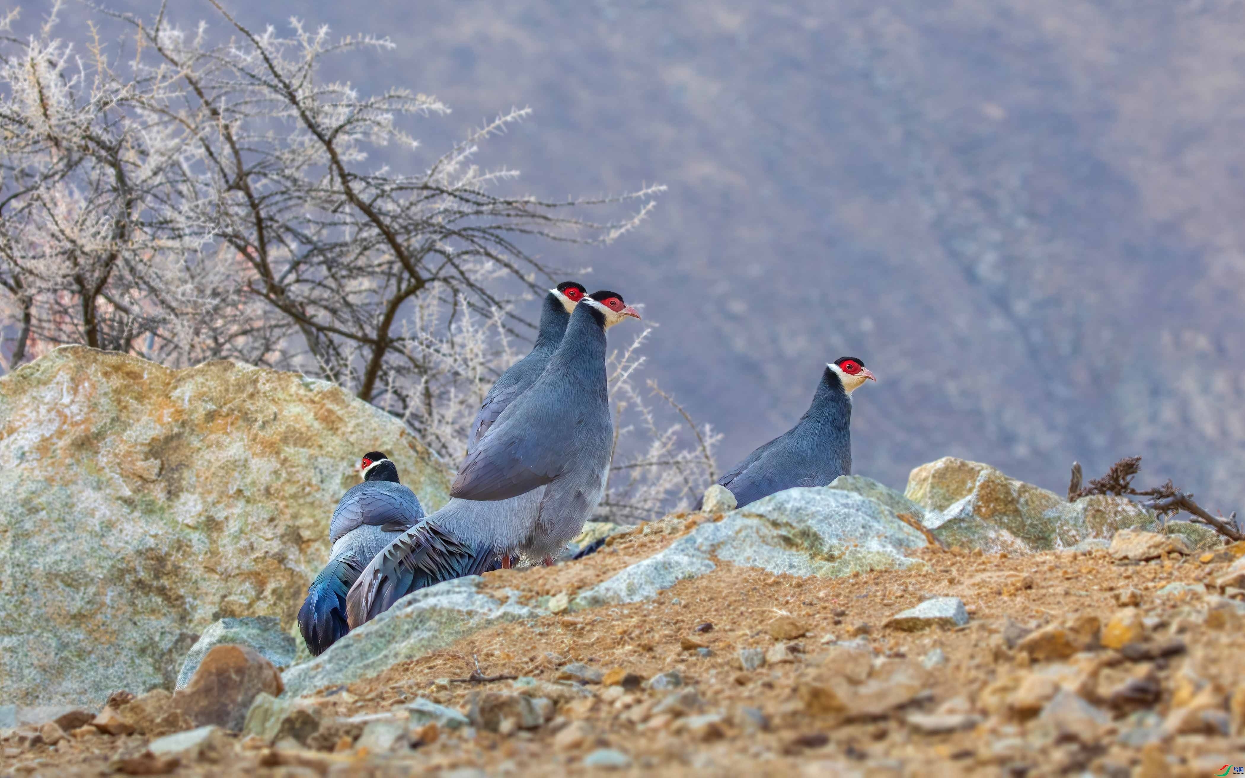 ������  ���� �ɶ��Ͻ� ��һ.jpg