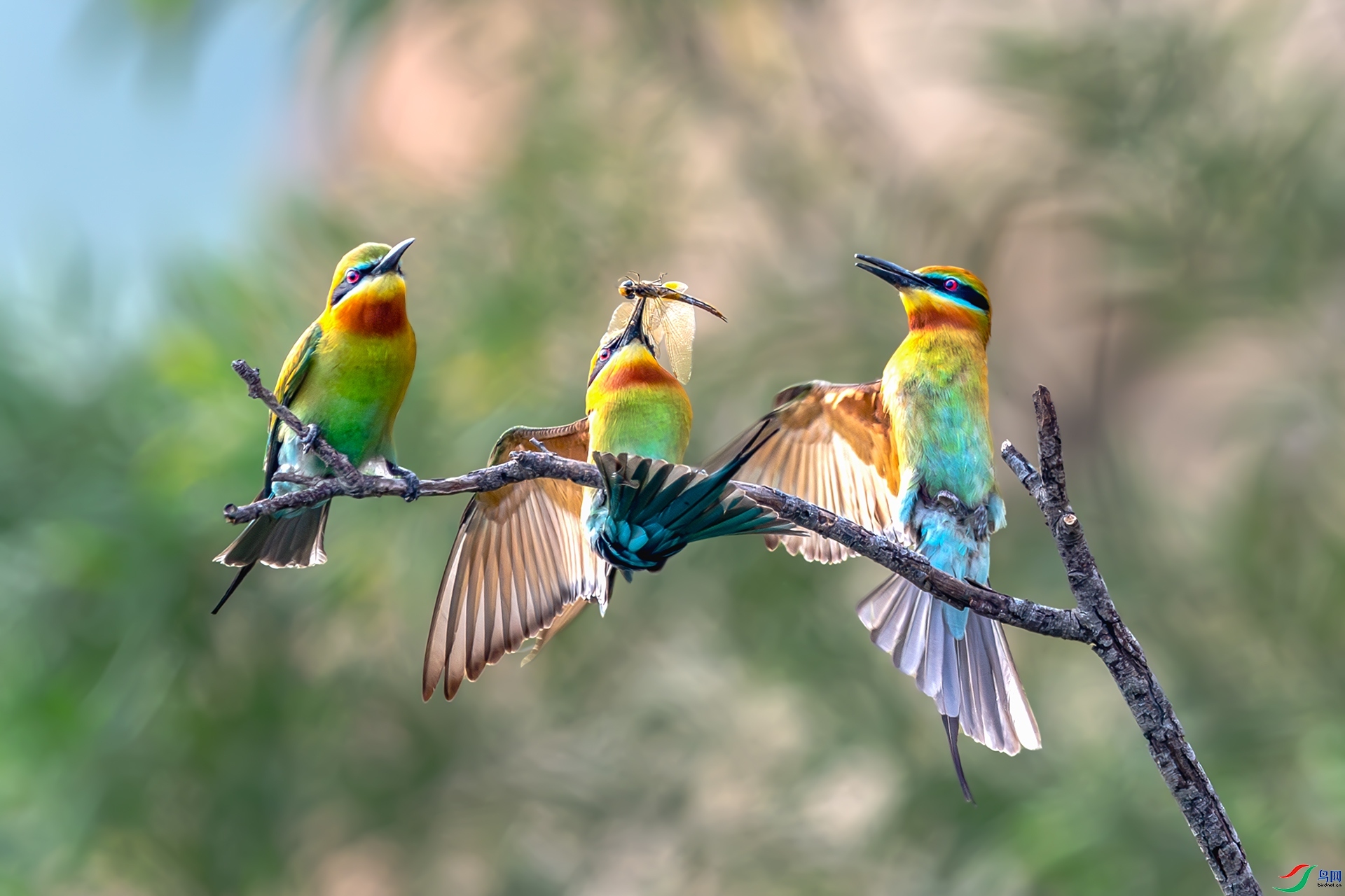 ��������  ���� ��һ.jpg