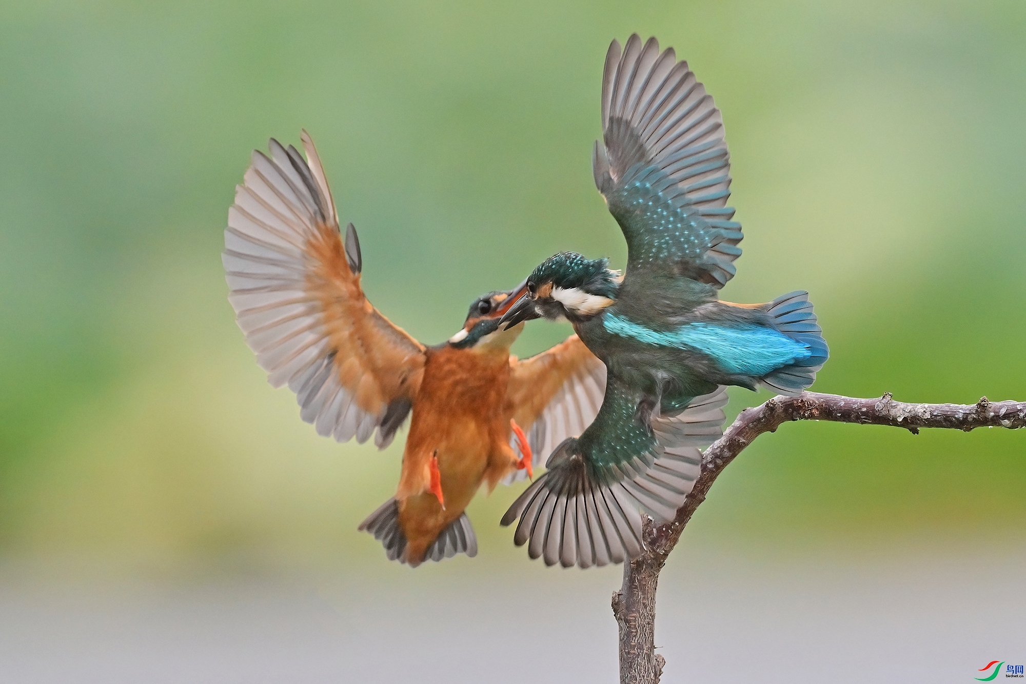 ӭս ���� 051x  �ܶ�.jpg