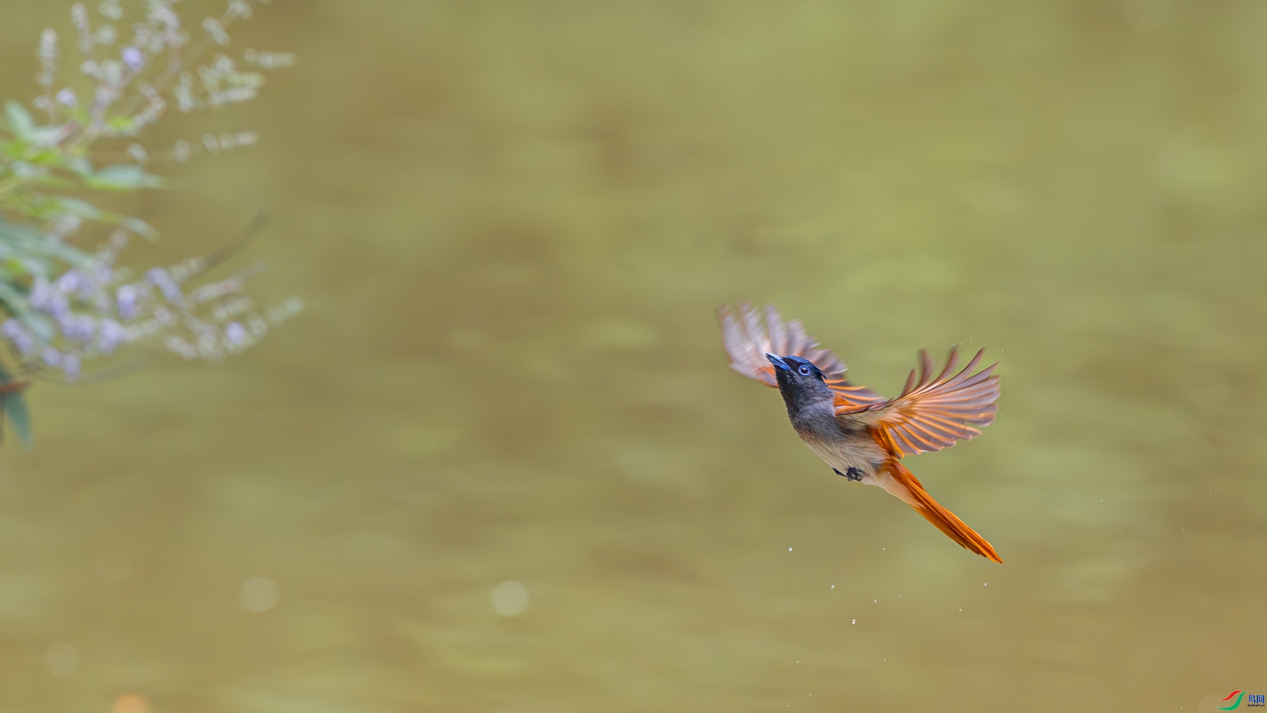 ԡ��  ���� �䱾���� �ܶ�.jpg