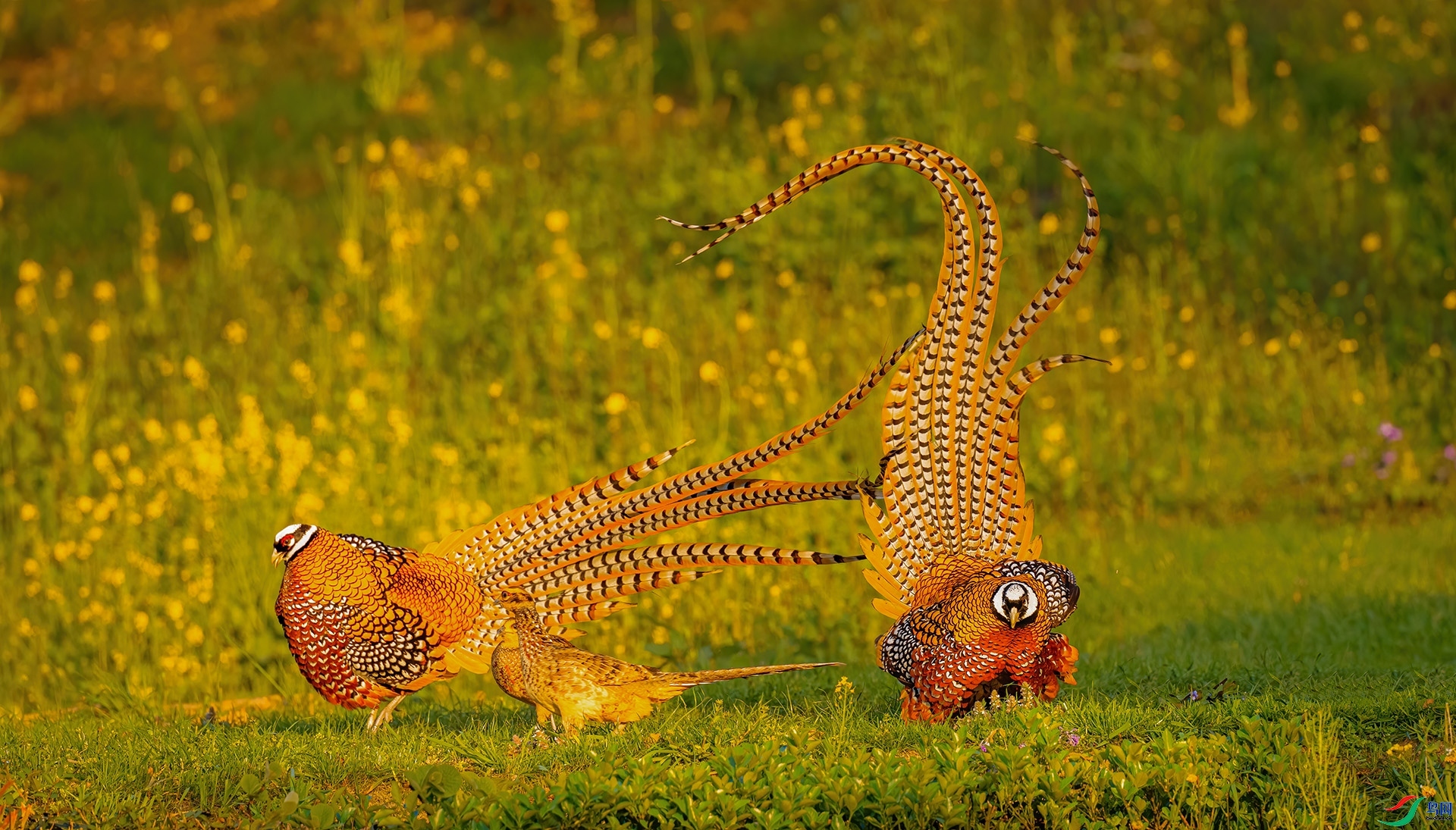 ʾ�� ���� �������� ����.jpg