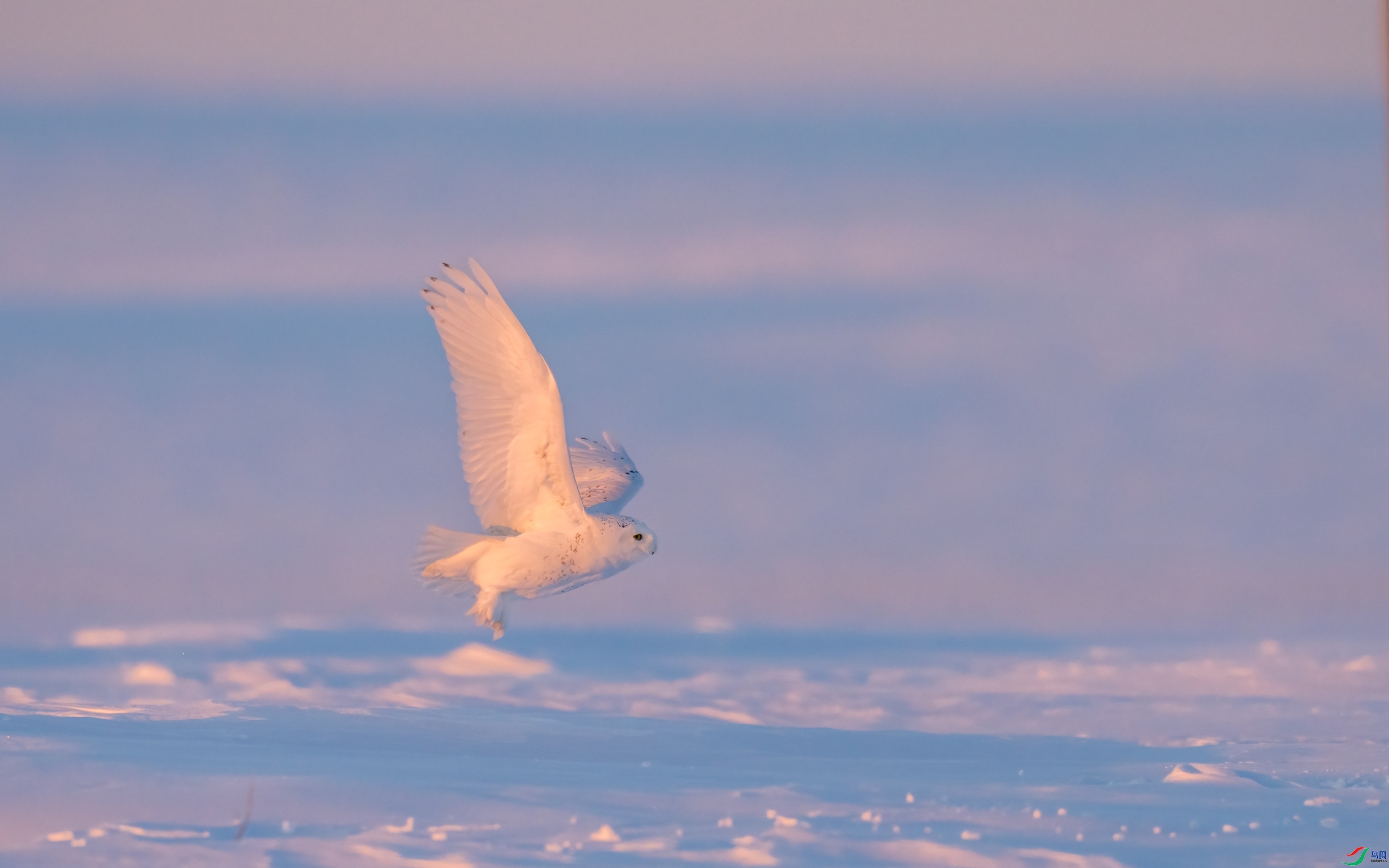 ѩ�^  ���� ���� ����.jpg