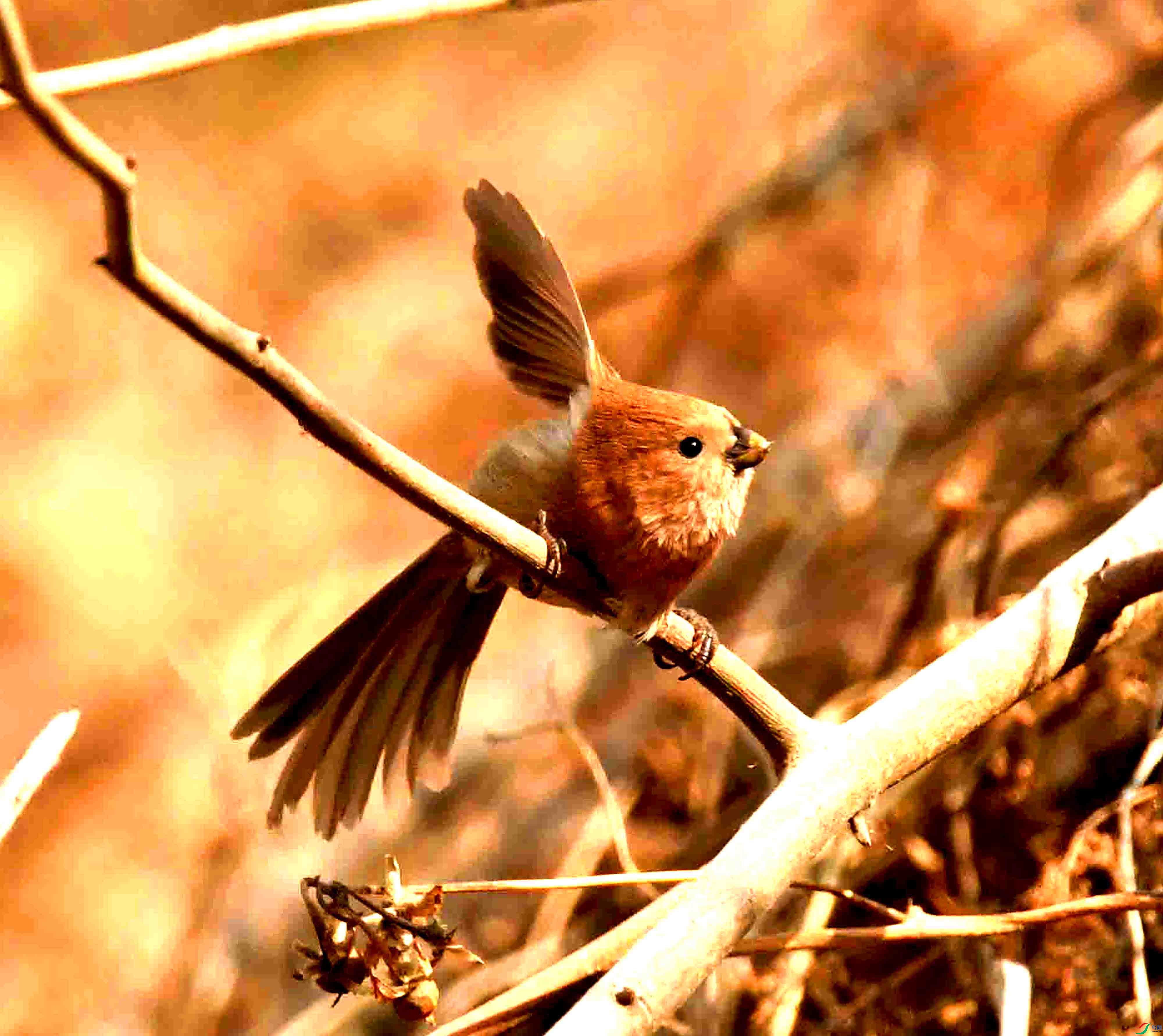 DSC_2086.JPG
