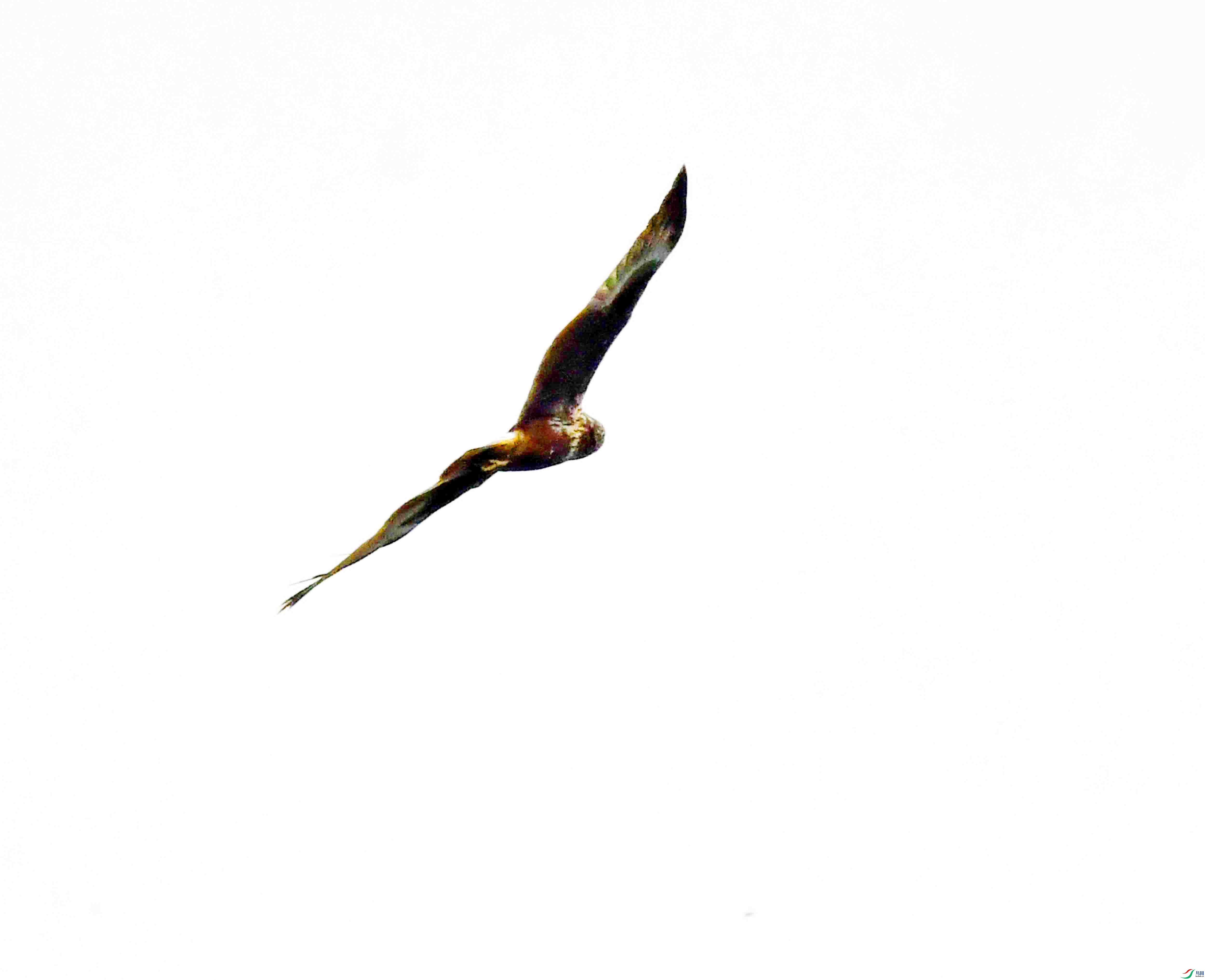 DSC_3112.JPG
