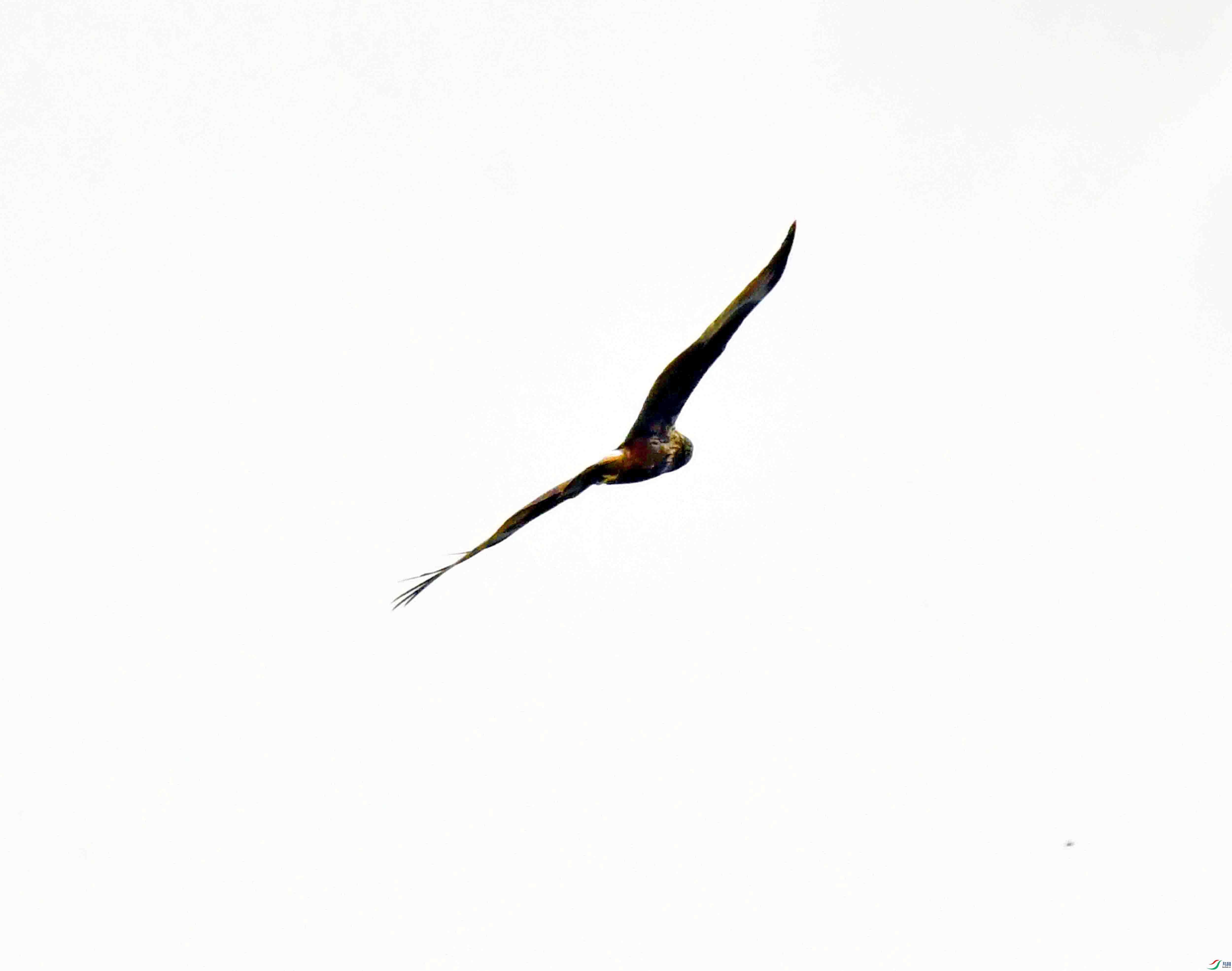 DSC_3113.JPG