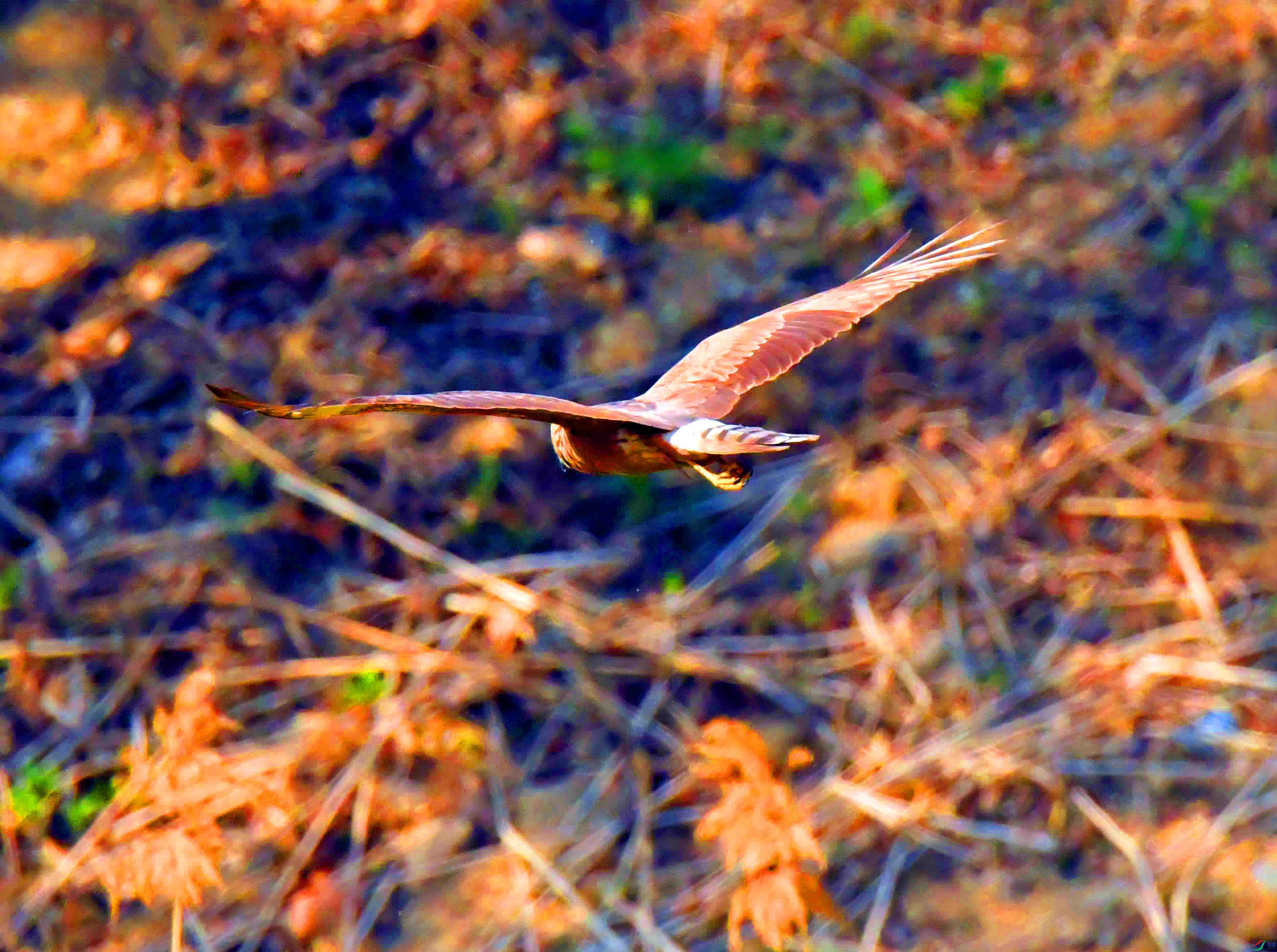 DSC_5819.JPG