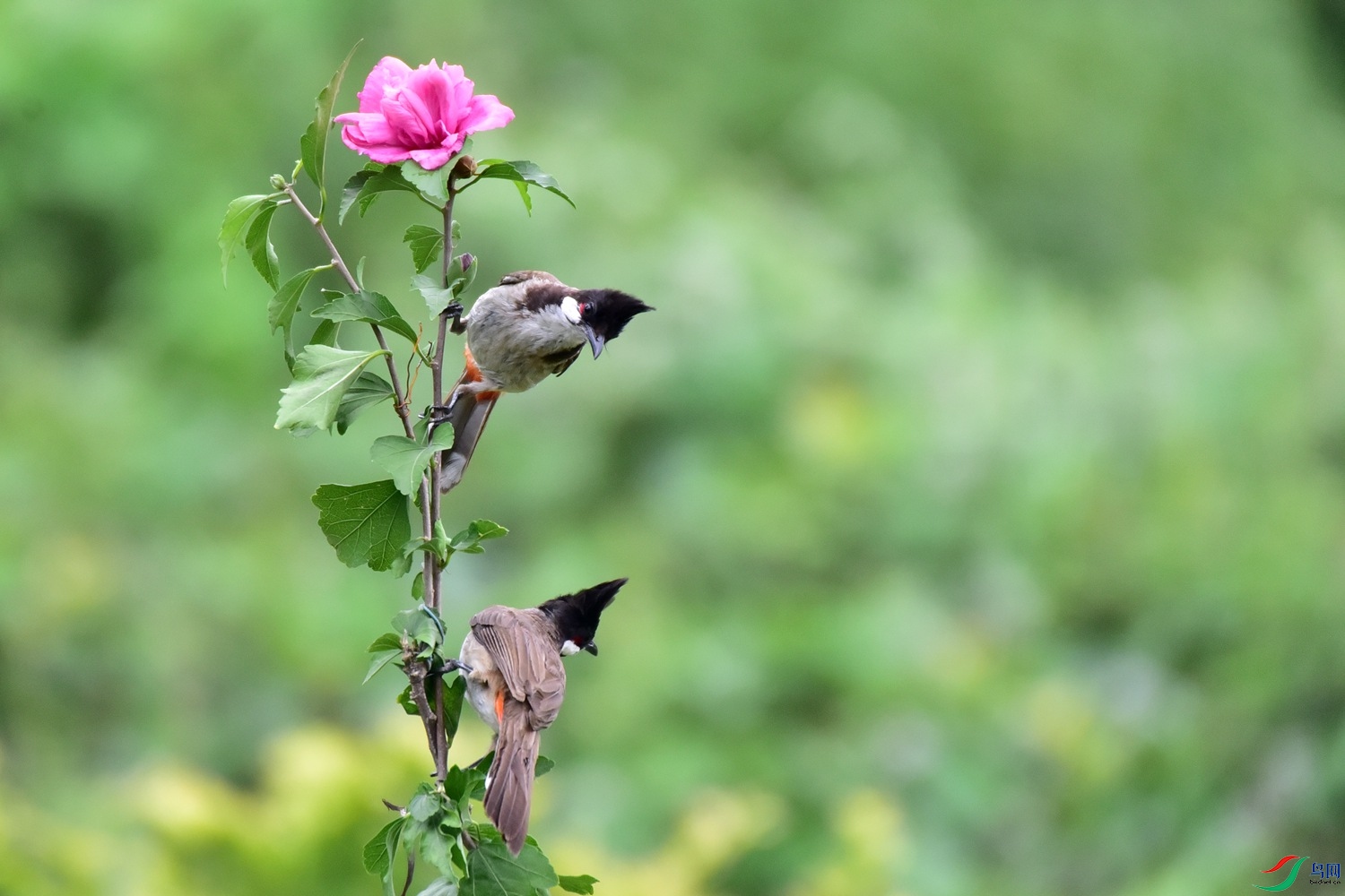 DSC_6156.JPG