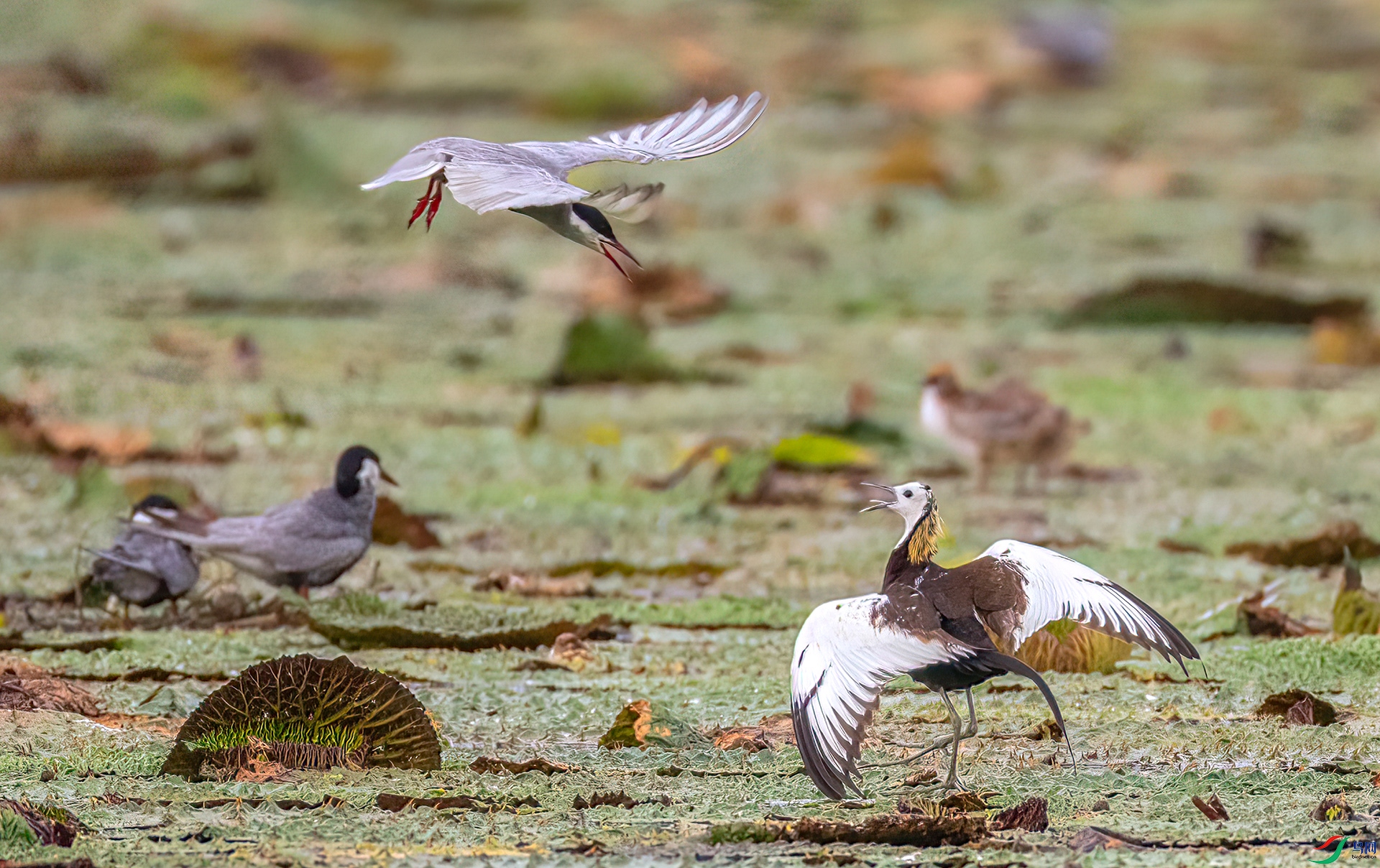 407A5793 ����-SharpenAI-motion1----1 .jpg