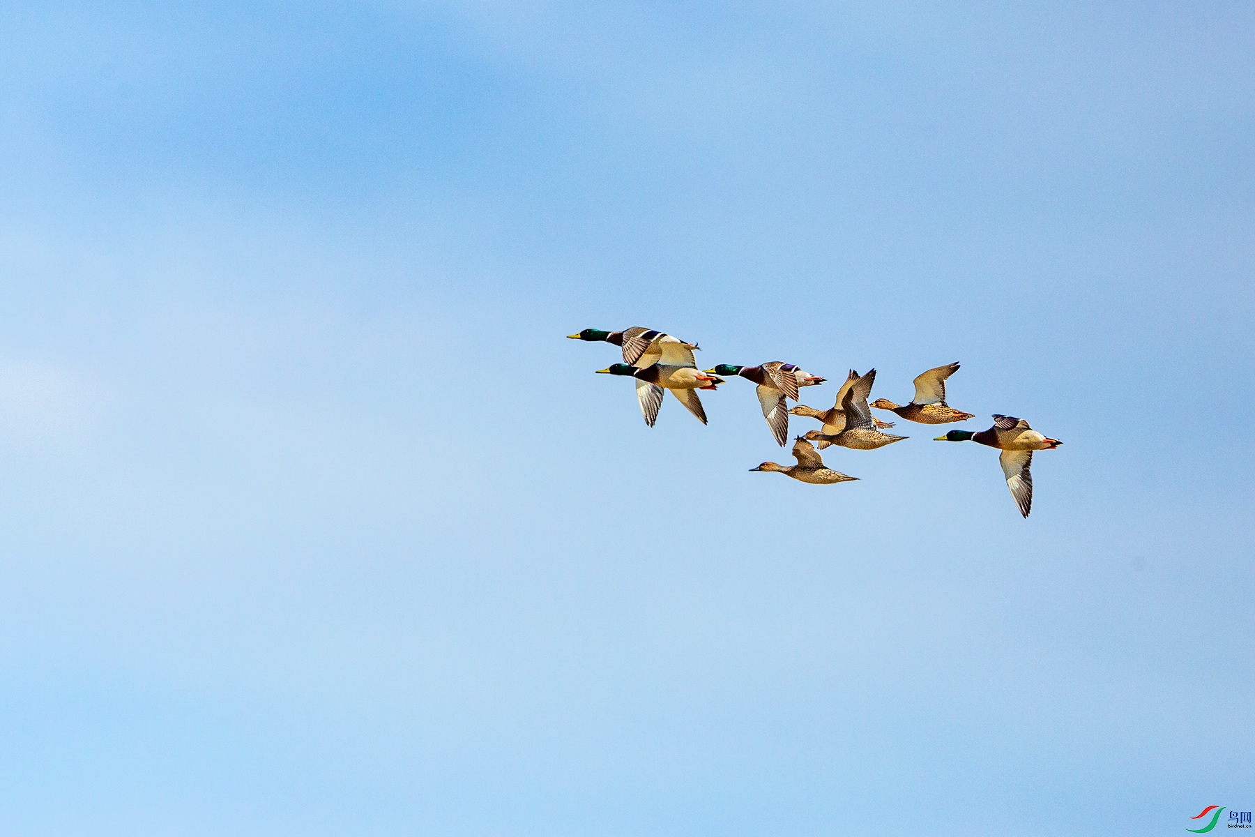 YB0A3807 ����_����.jpg