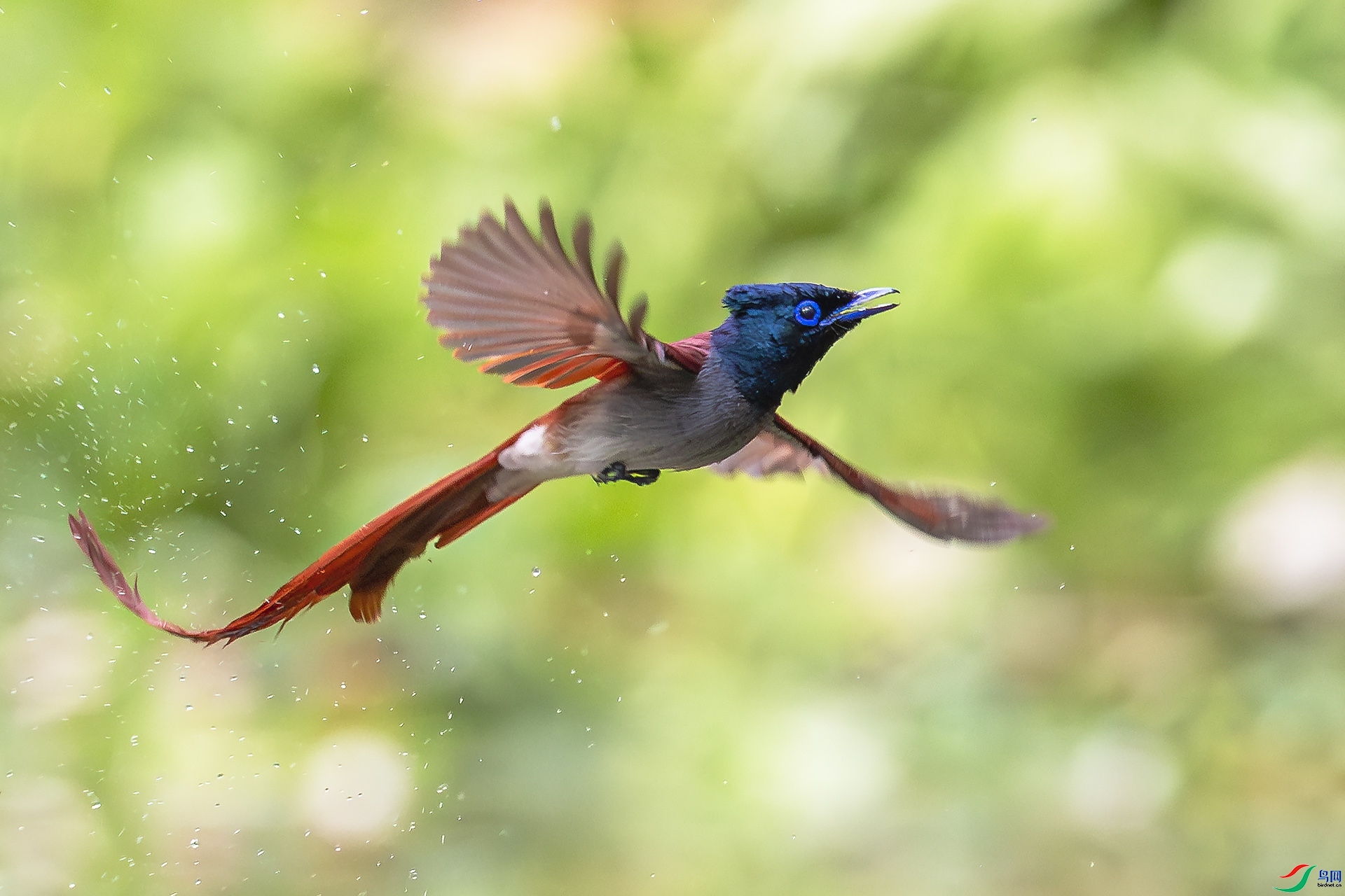 ��練�  ���� ����.jpg