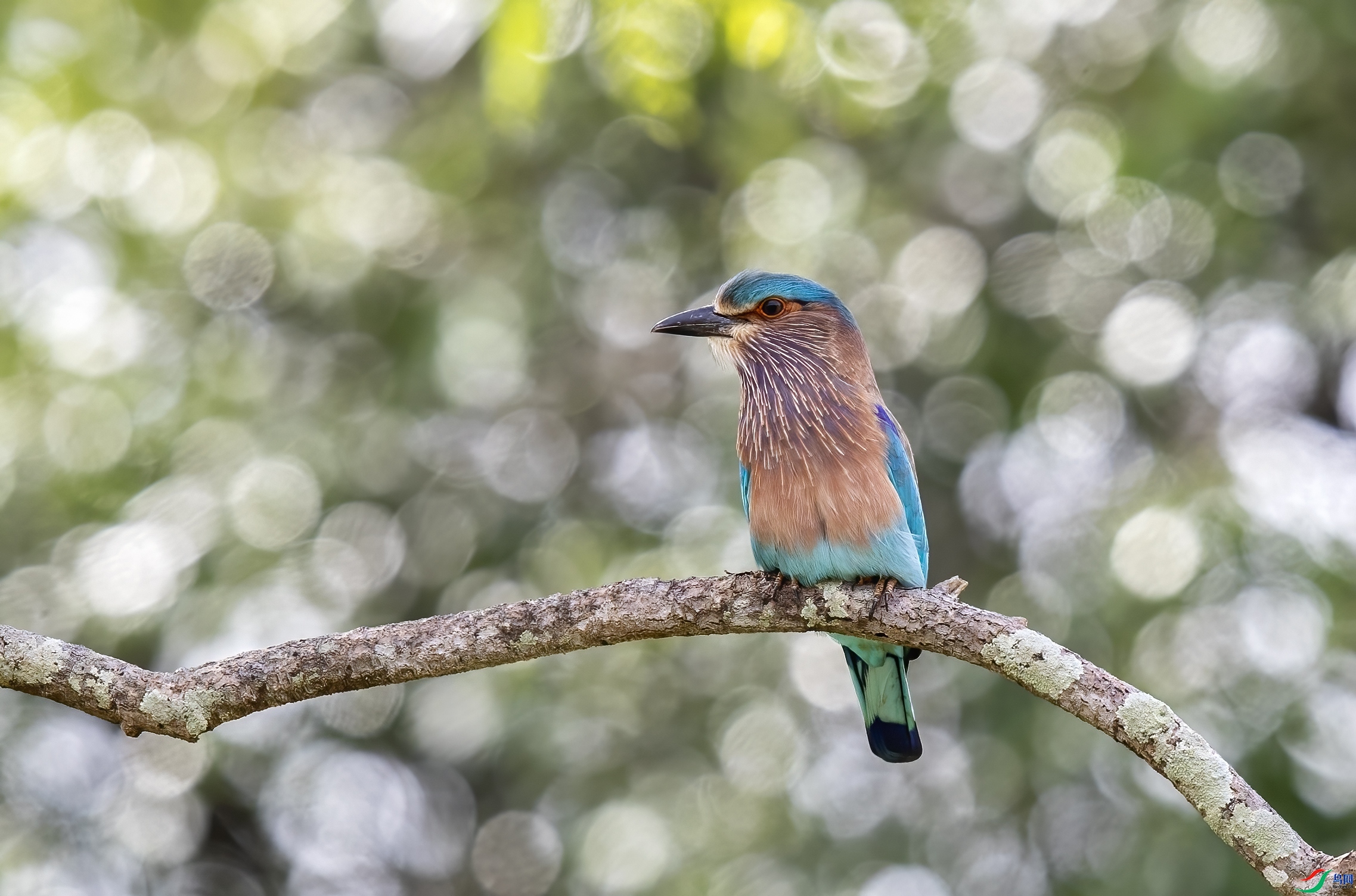 ���� ���� ����  ����.jpg