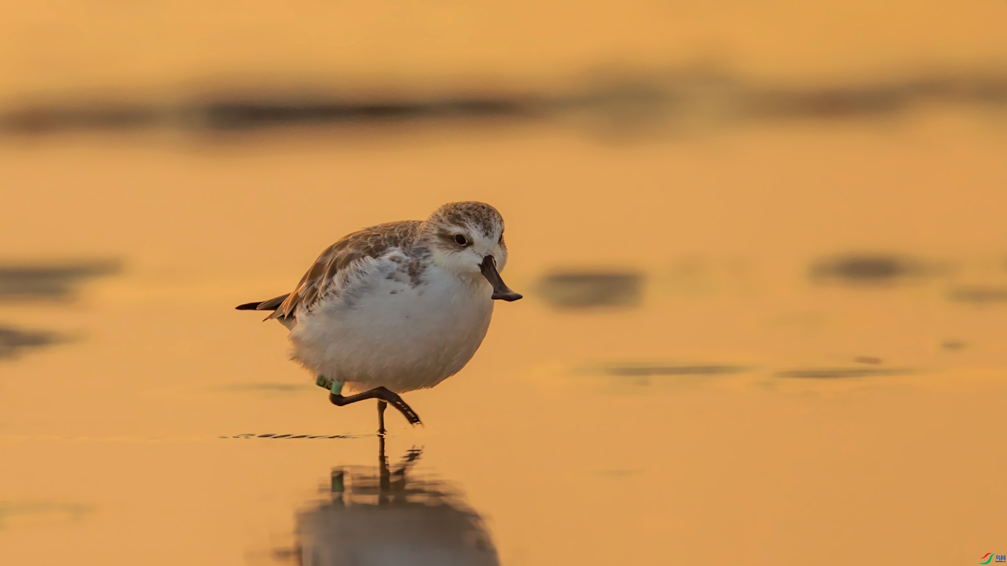 ÿ��һͼ���� ������С���ӡ�˲������.jpg