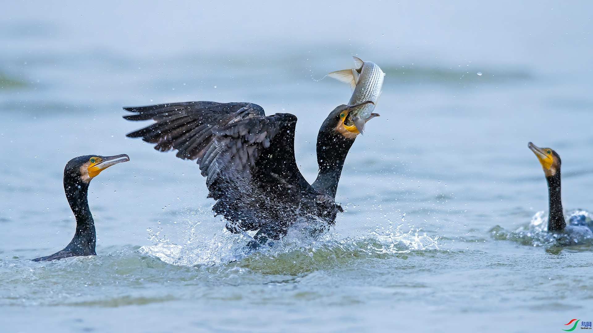 ��ĩ��� ���� ƽ�� ����.jpg