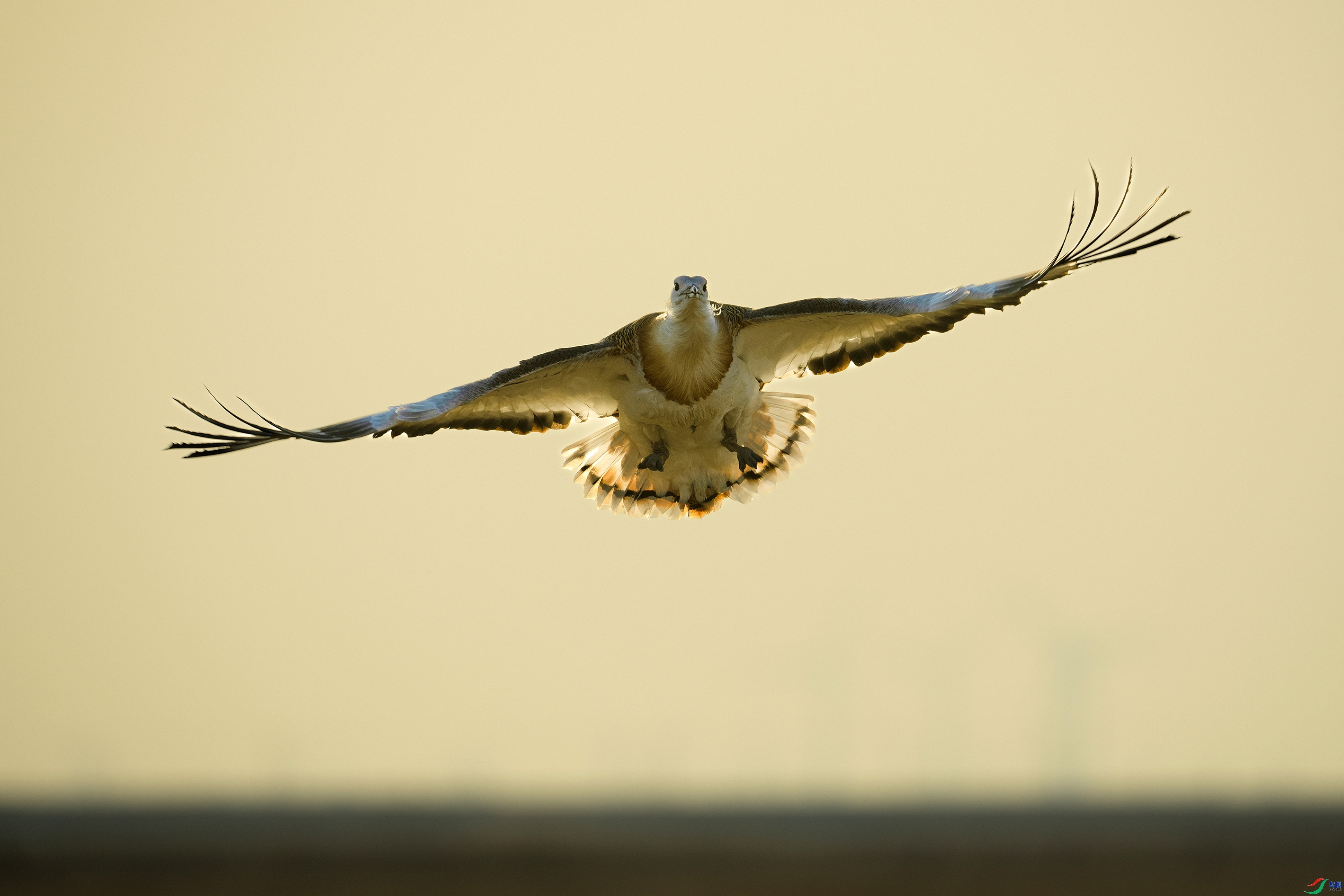 ��������� ���� ����· ����.jpg