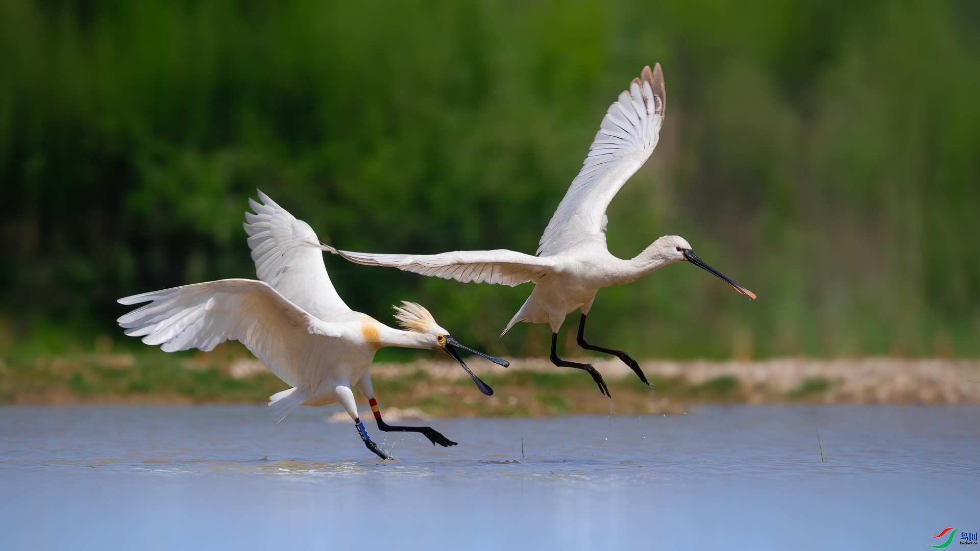 ��������������ص�����  ���� ���� ����.jpg