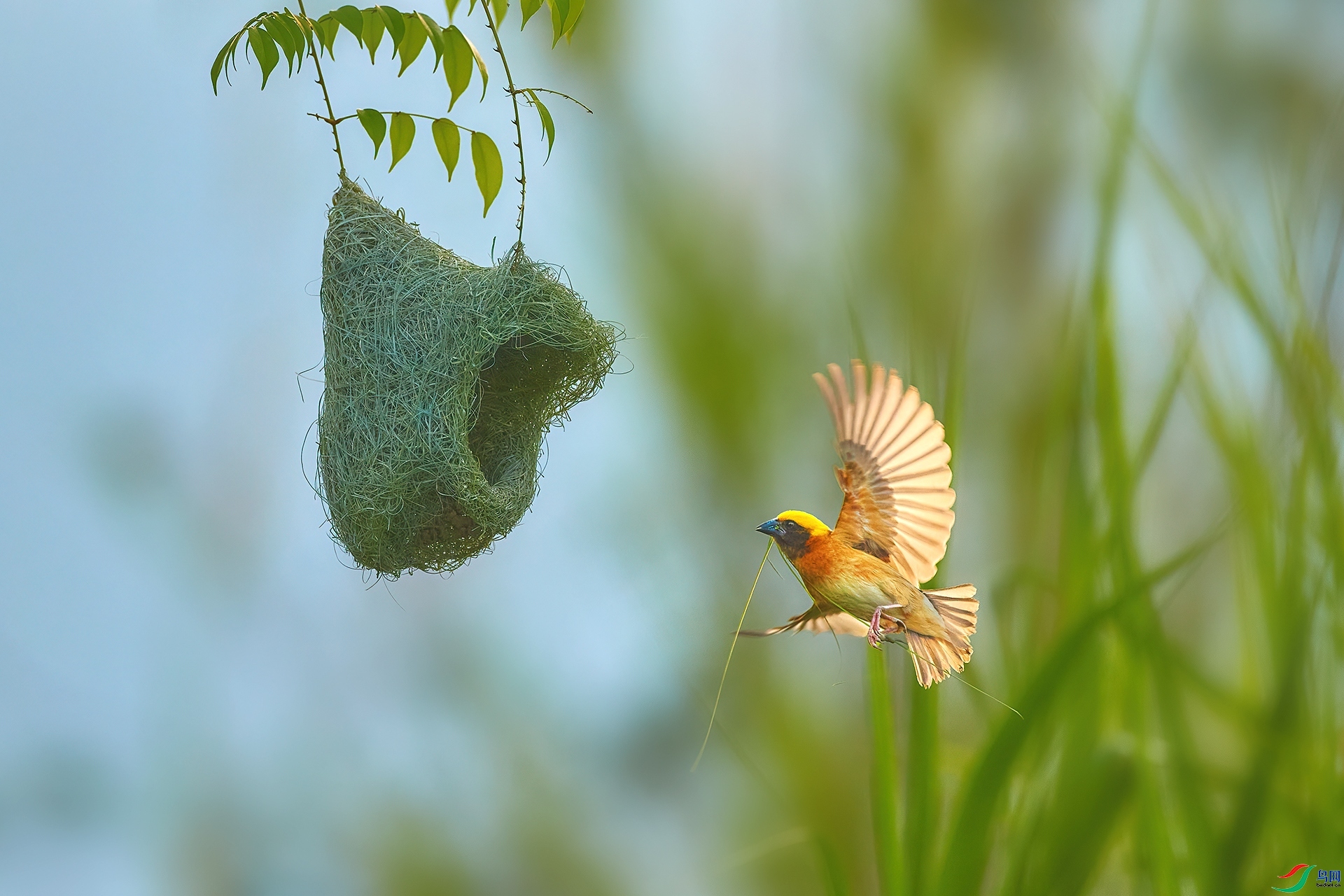 �j˿֯��  ���� ����� ����.jpg