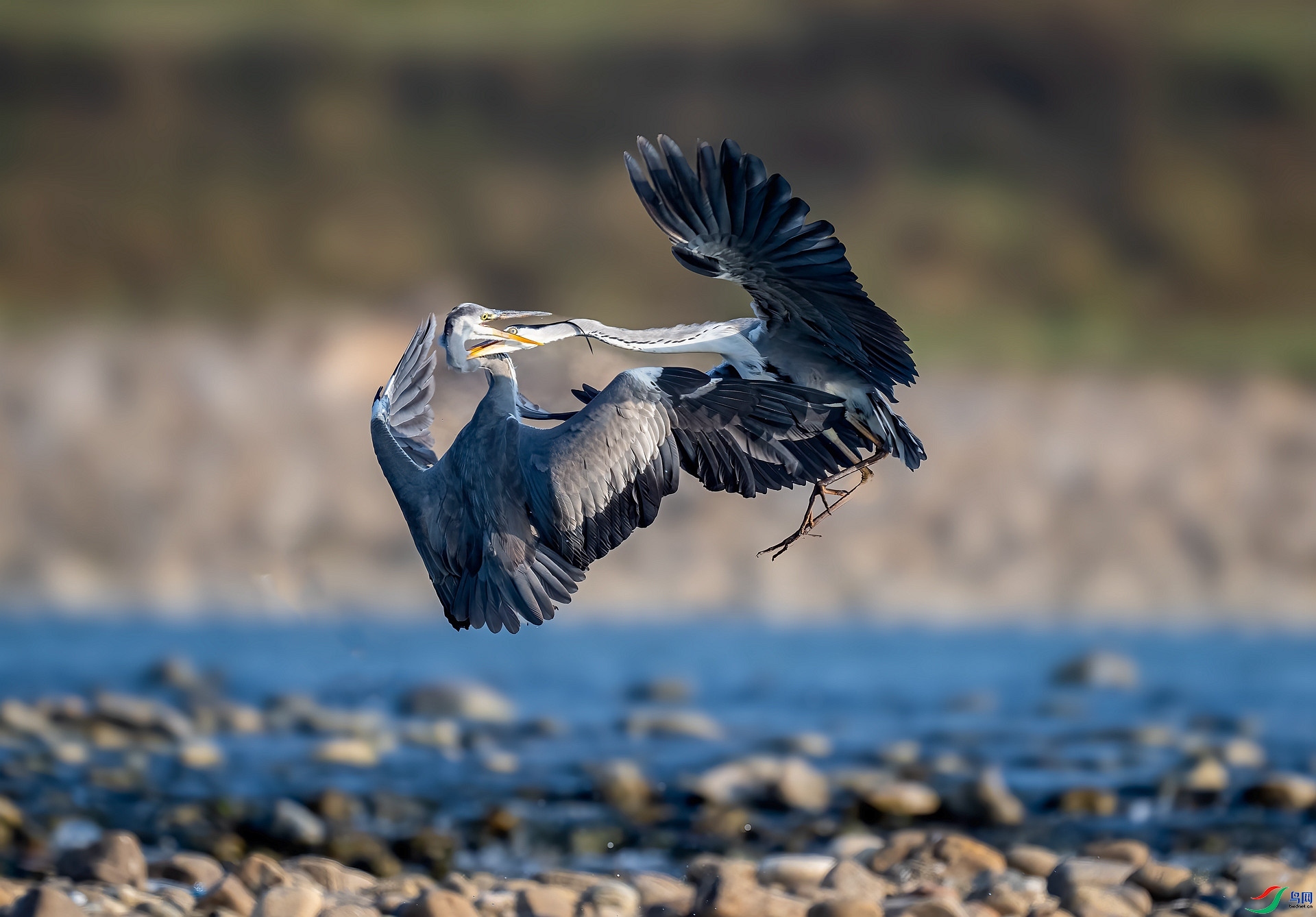 ����  ���� ������ ����.jpg