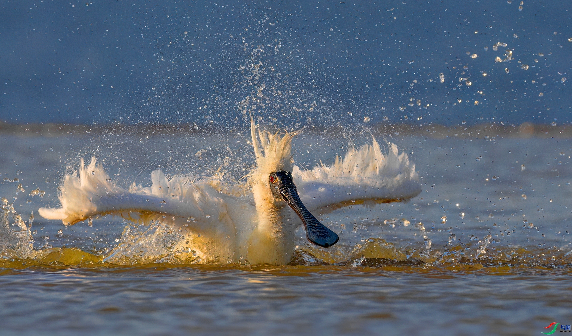 ԡ  ���� ���� ����.jpg