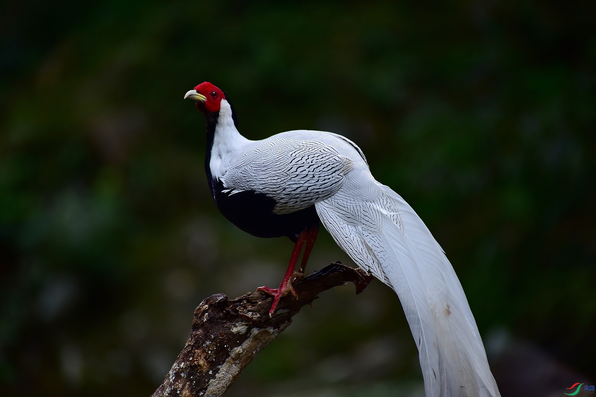 D8I_7980.jpg