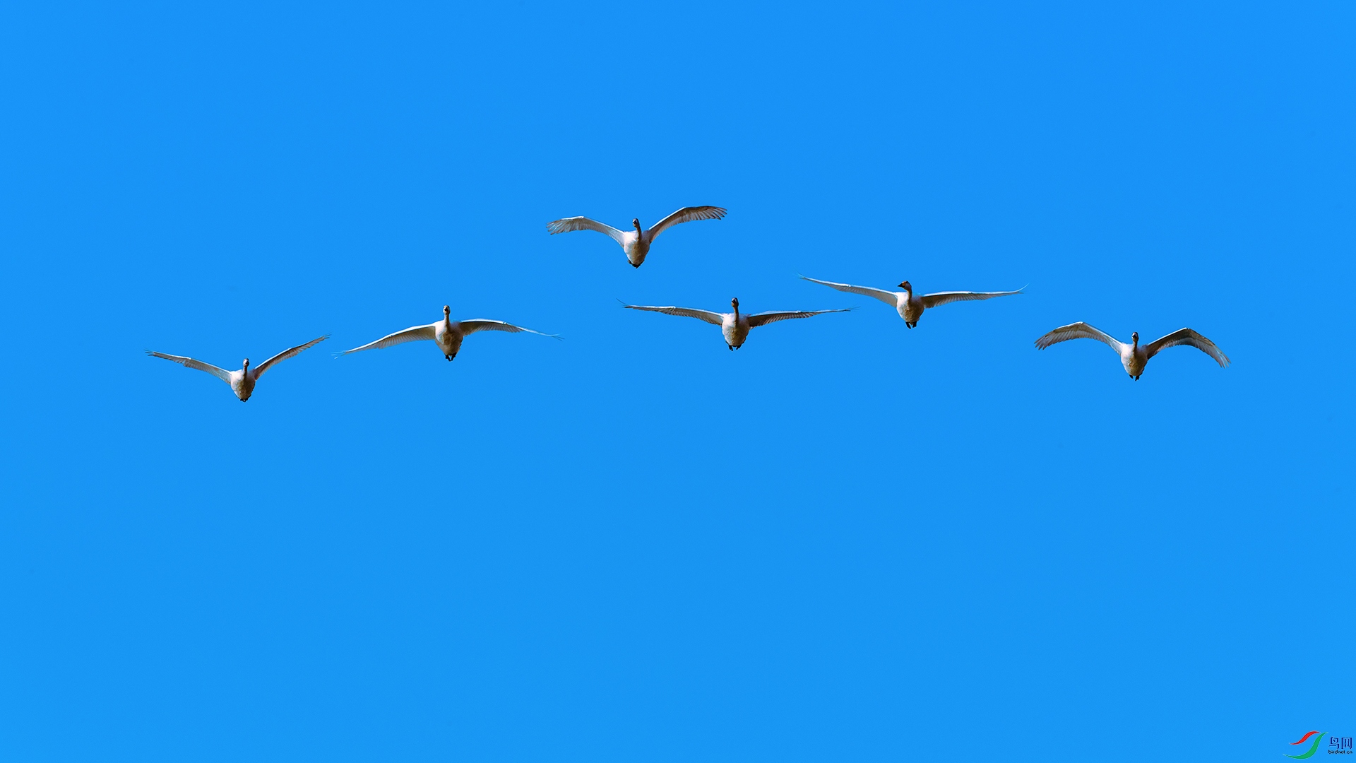 DSC_3600_DxOa.jpg