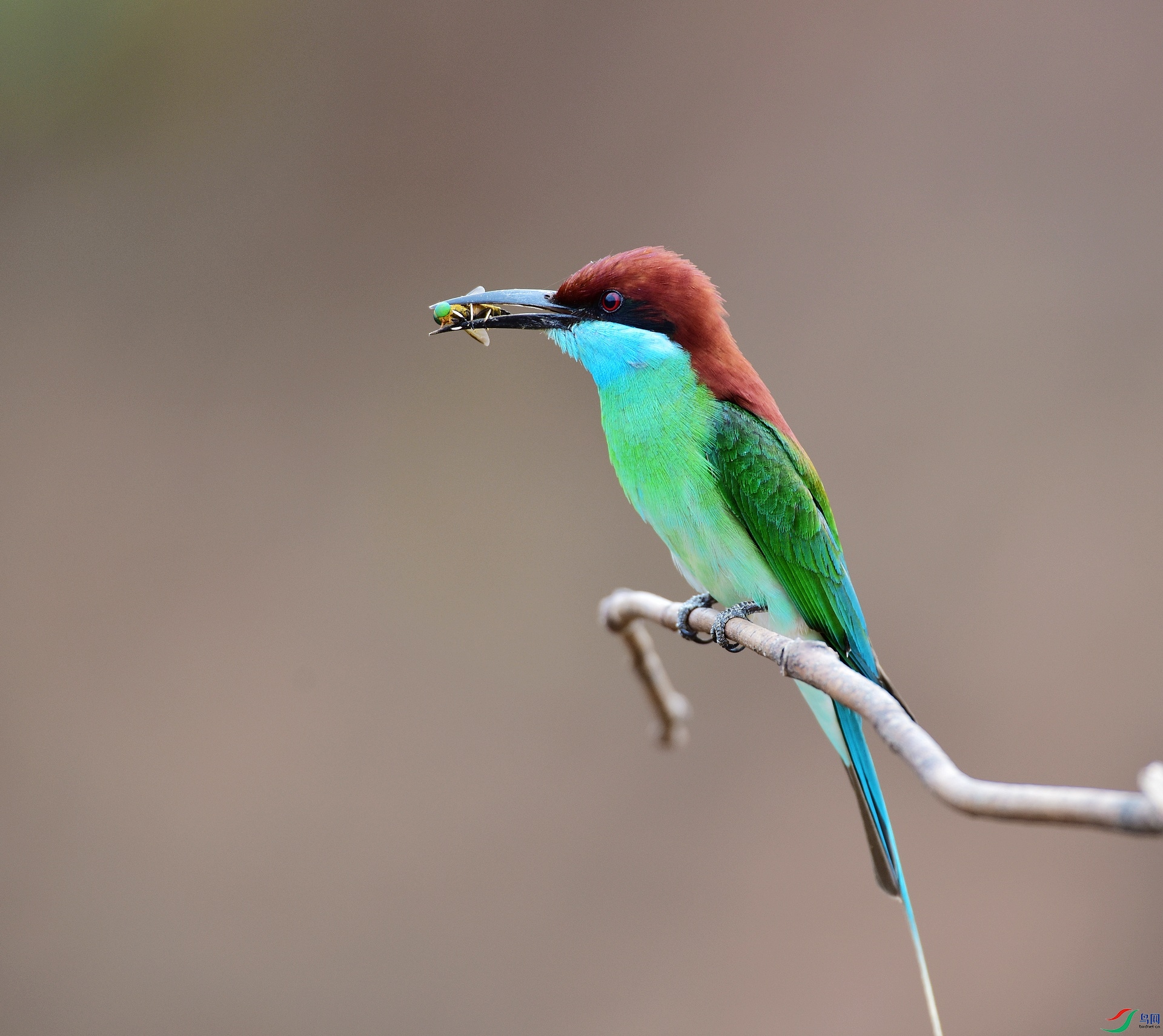D8I_9896.jpg