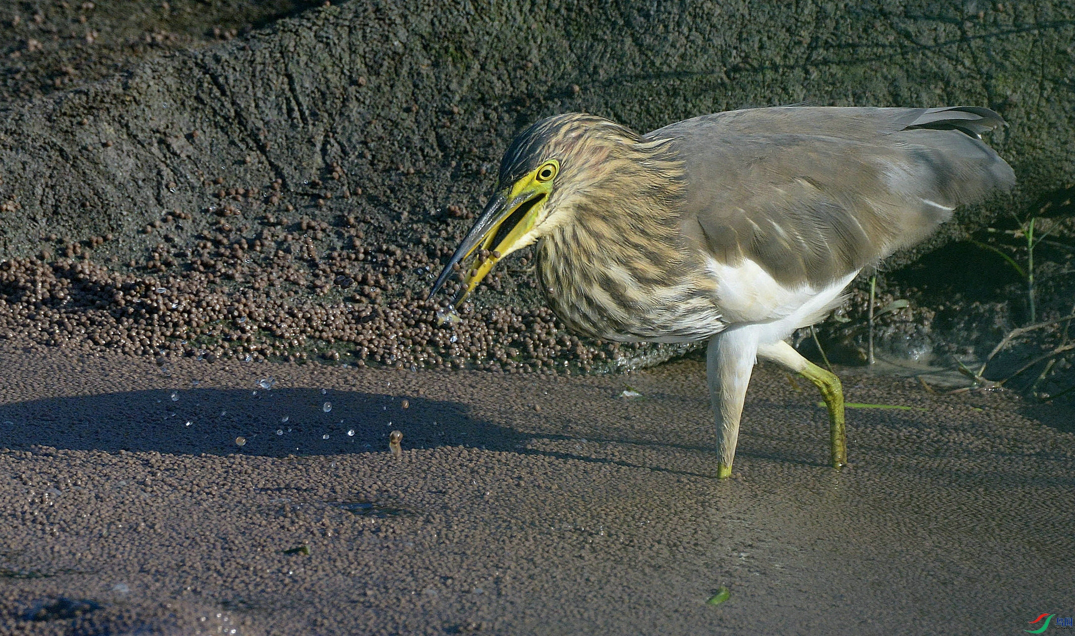 DSC_7025.jpg
