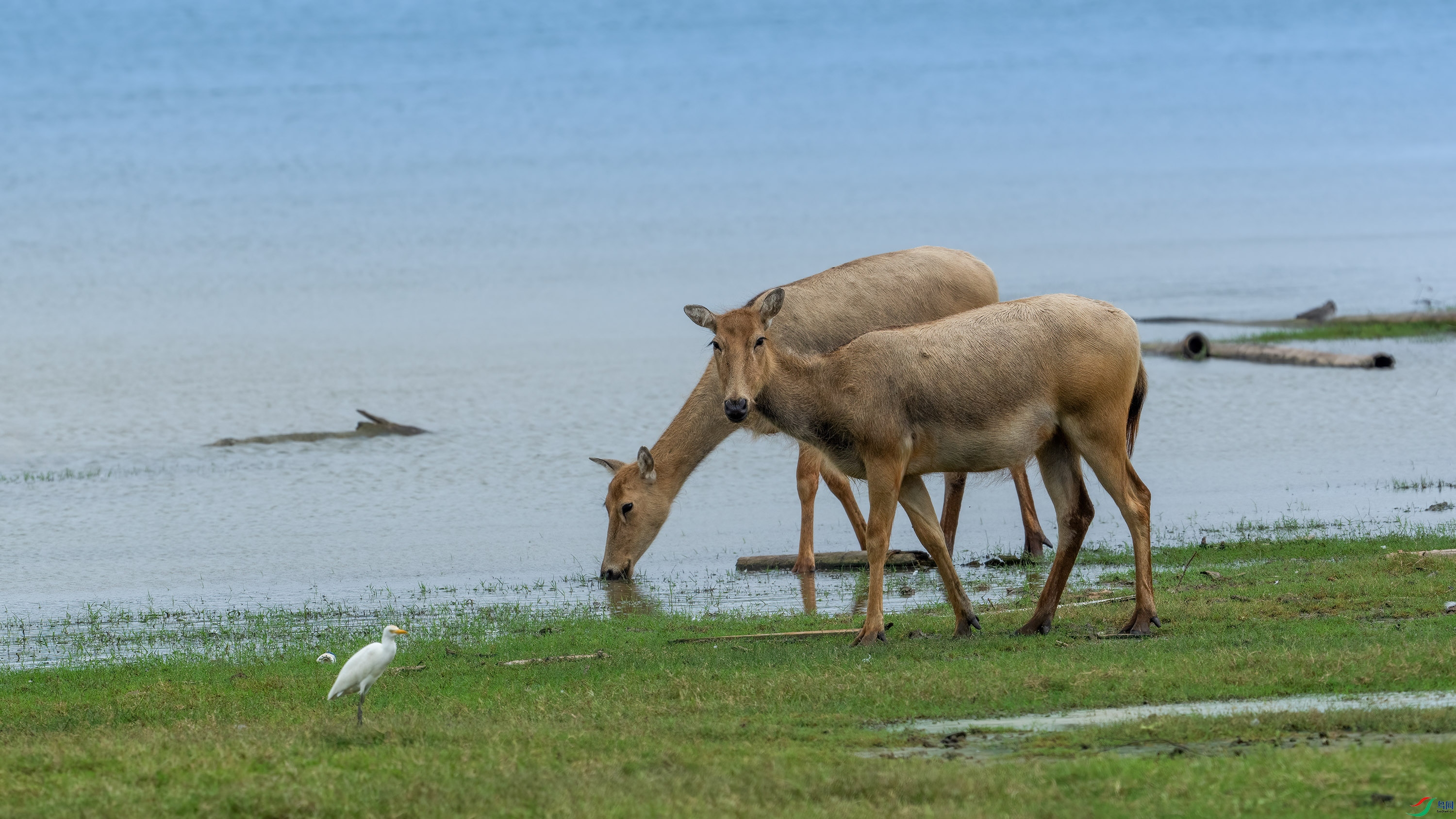 _DSC3165 ���� 2.jpg