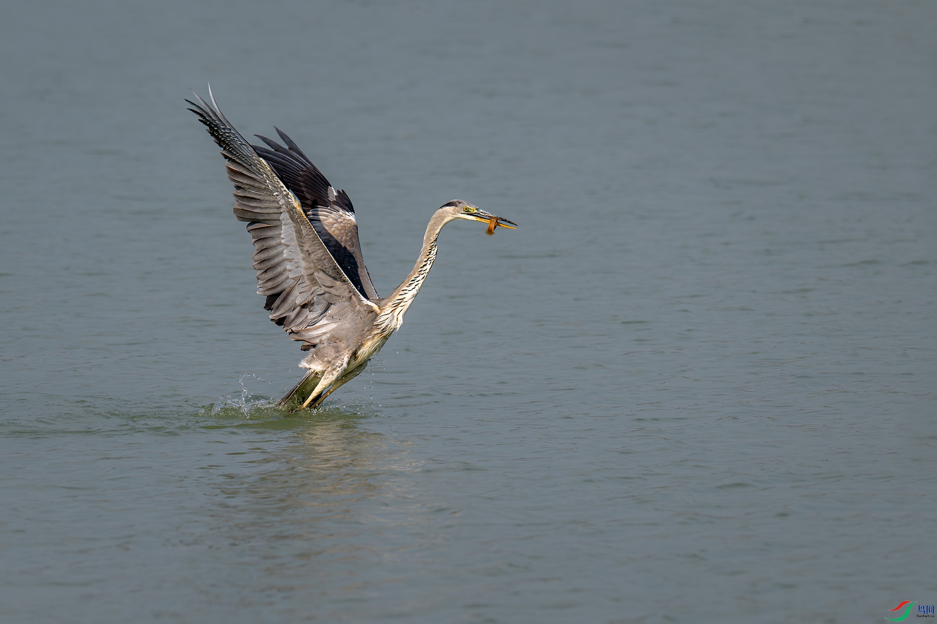 _DSC9685bb22.jpg