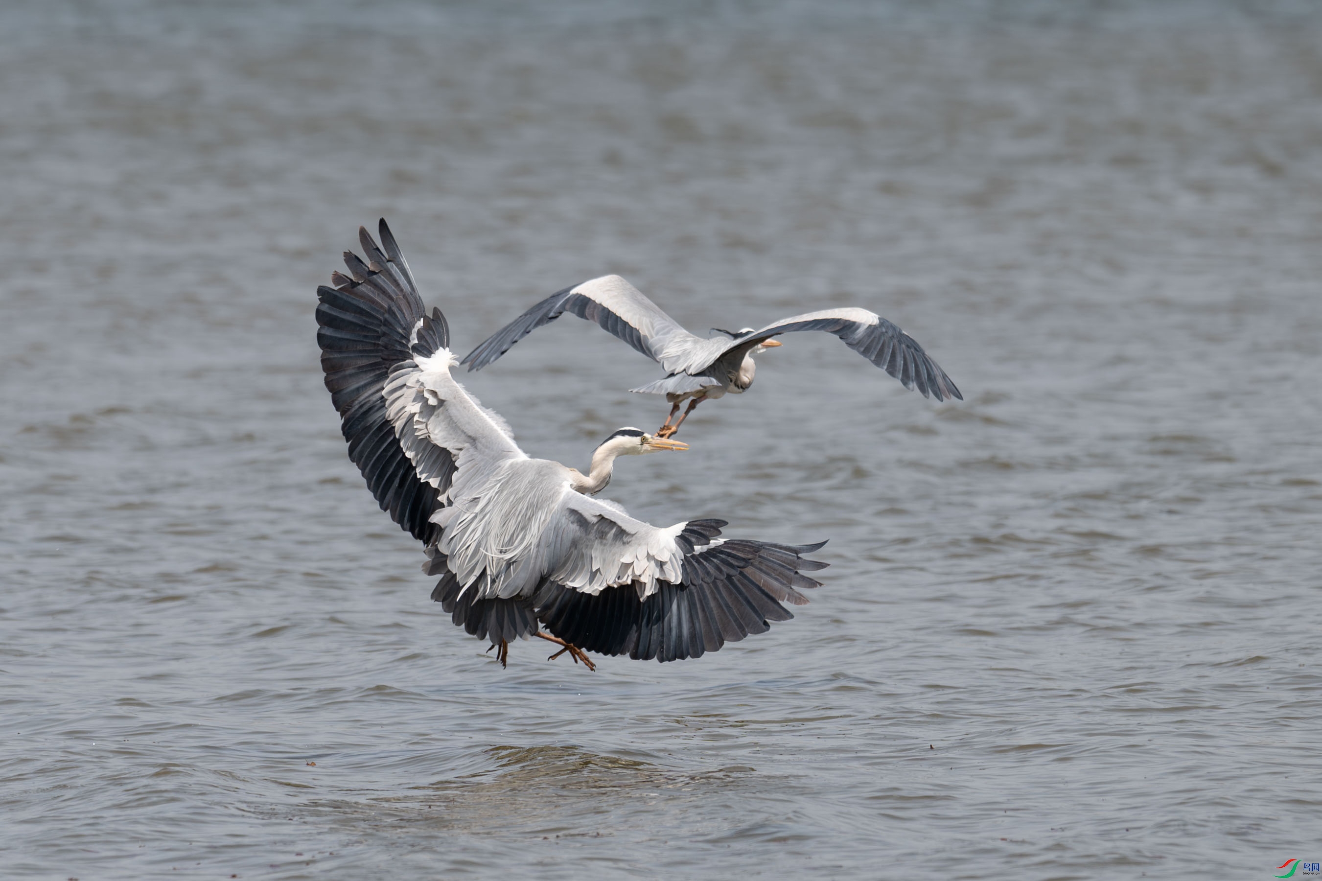 DSC_5203.jpg