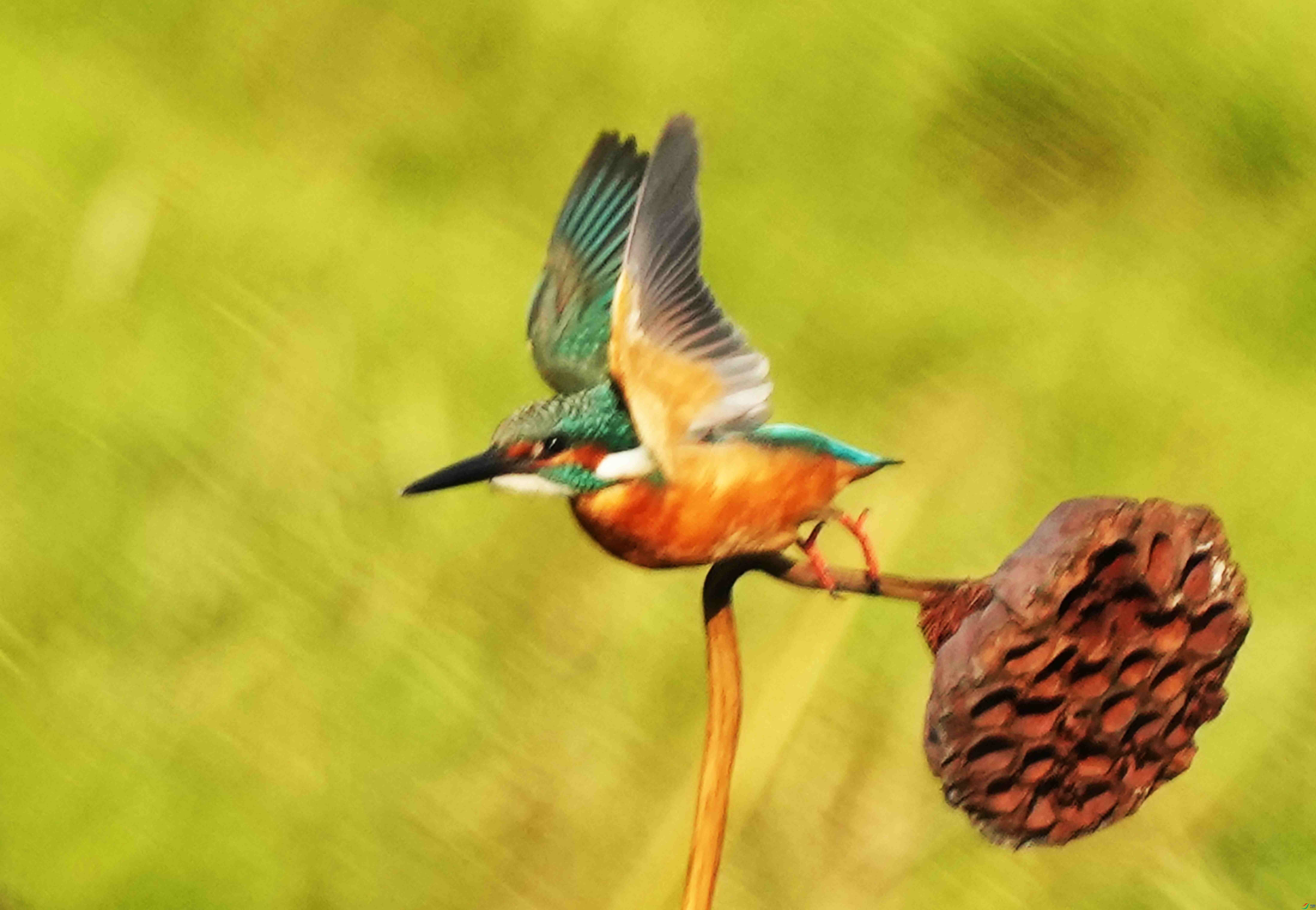 015DSC00295 (1) ����2_����.jpg