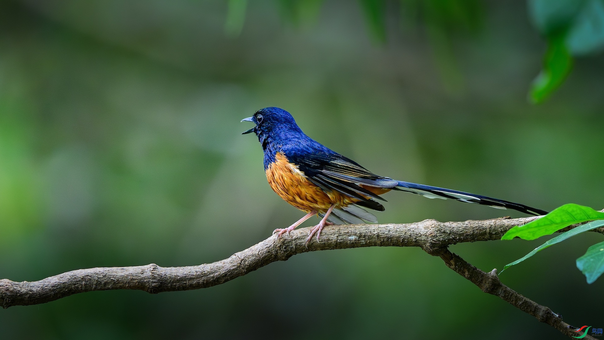 1_XXL0018-����ǿ-NR ����.jpeg