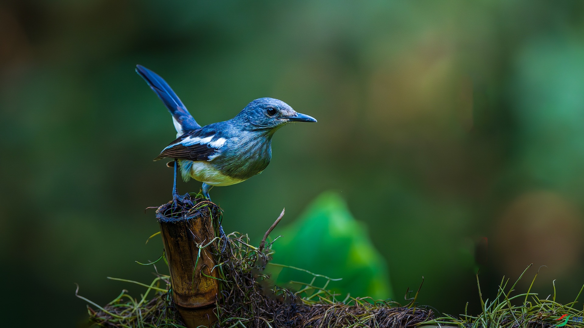 1_XXL0381-����ǿ-NR ����-1.jpeg