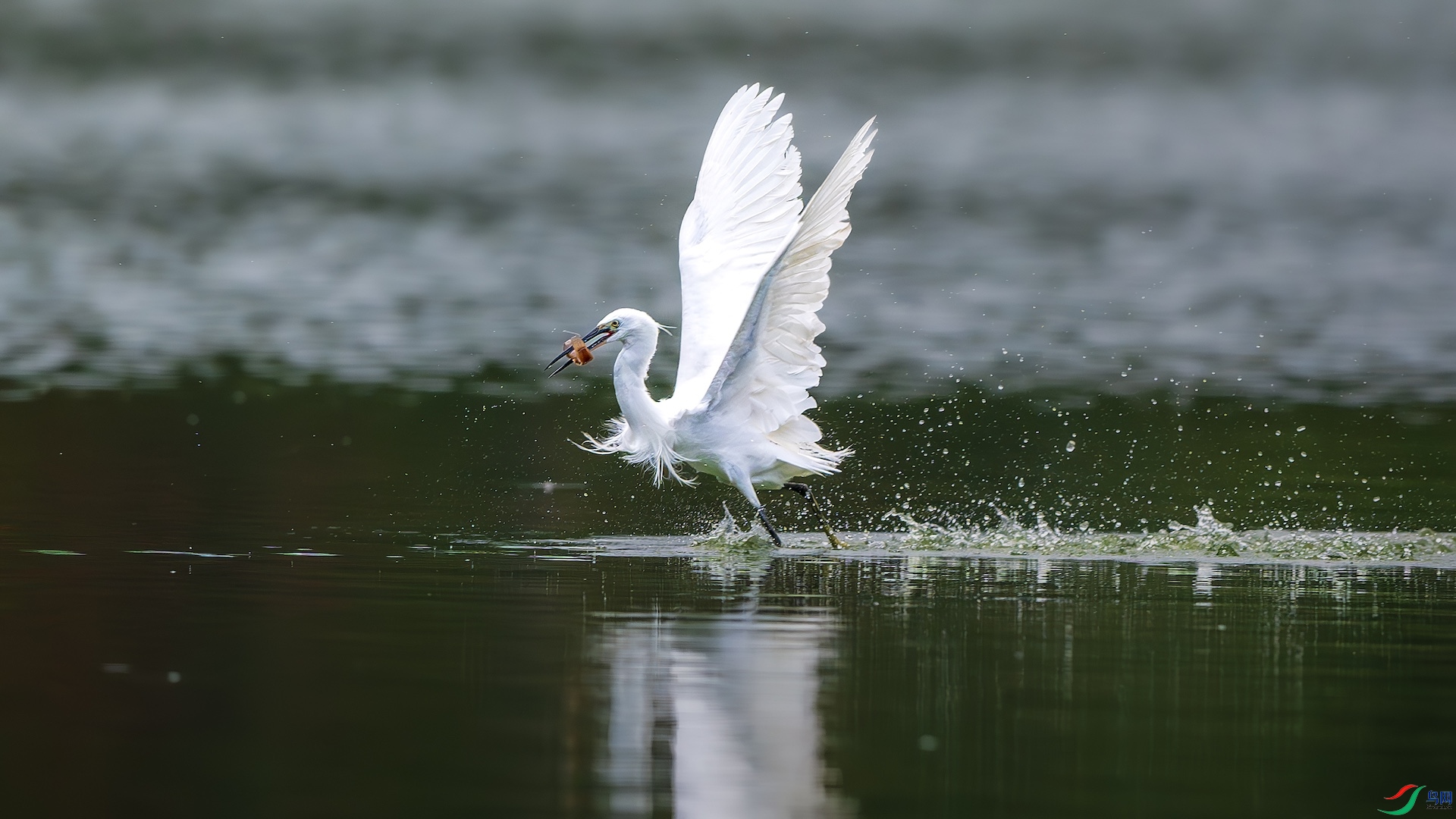 1_XXL0381-����ǿ-NR �����ĸ���.jpeg