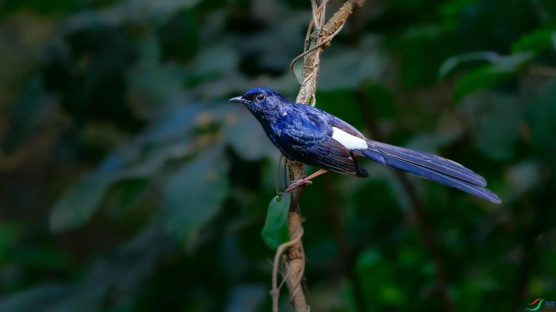 1_XXL1260-����ǿ-NR ����-1.jpeg