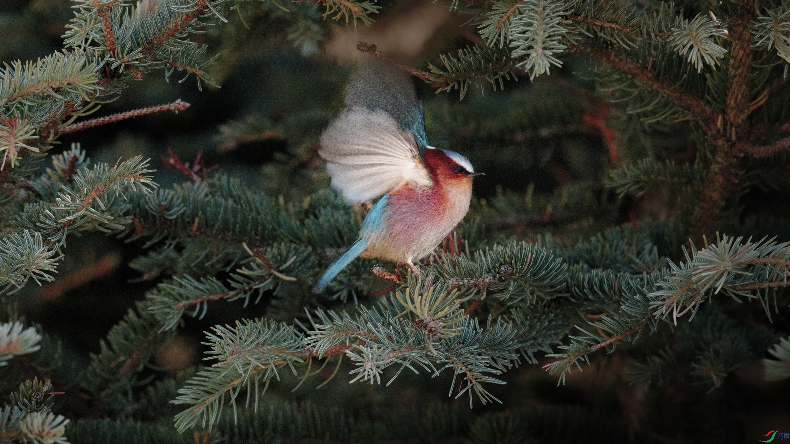 7X5A2732 ����888.jpg