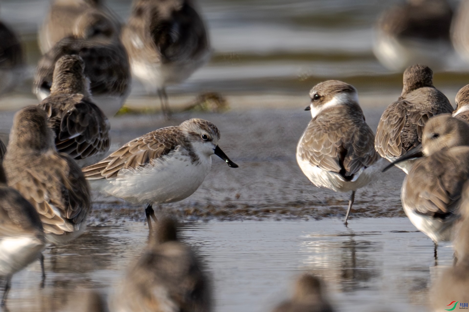 С���� 2.jpeg