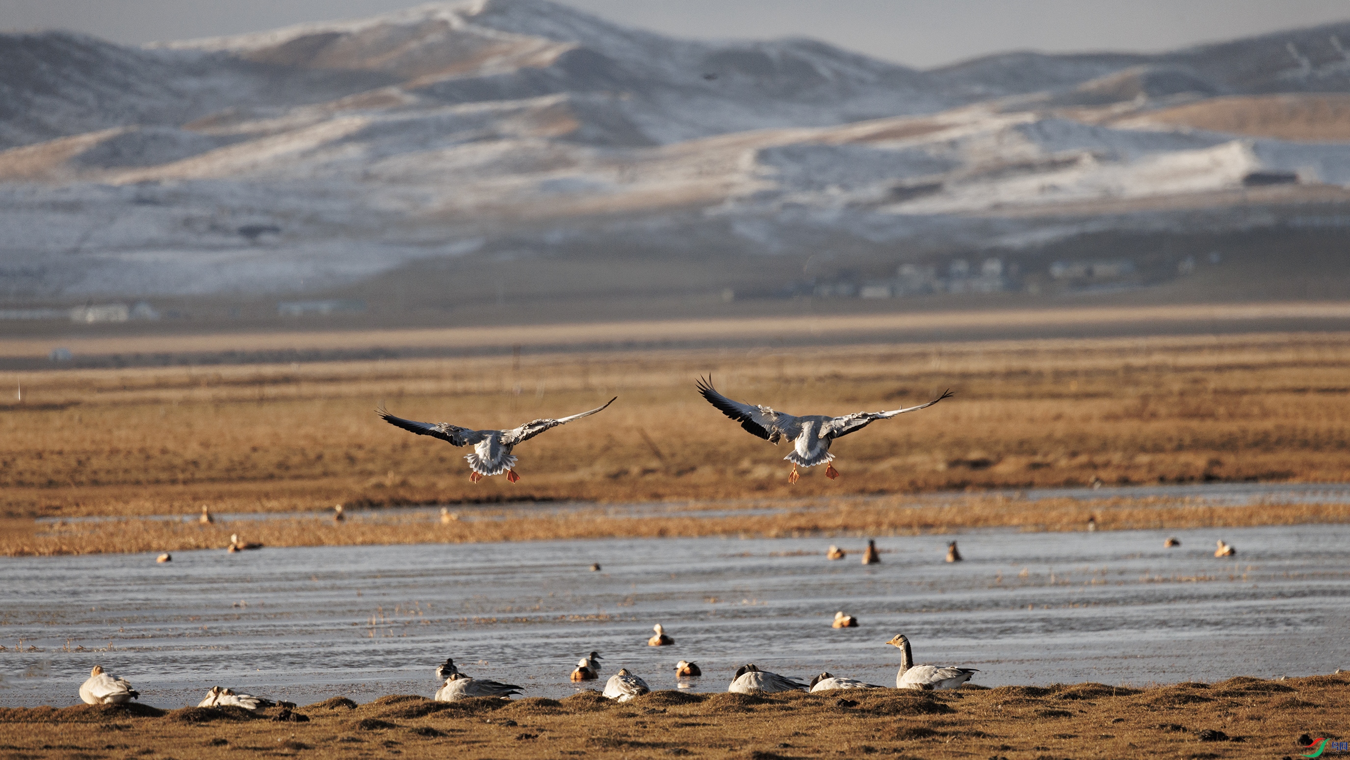 7X5A0060 ����99.jpg