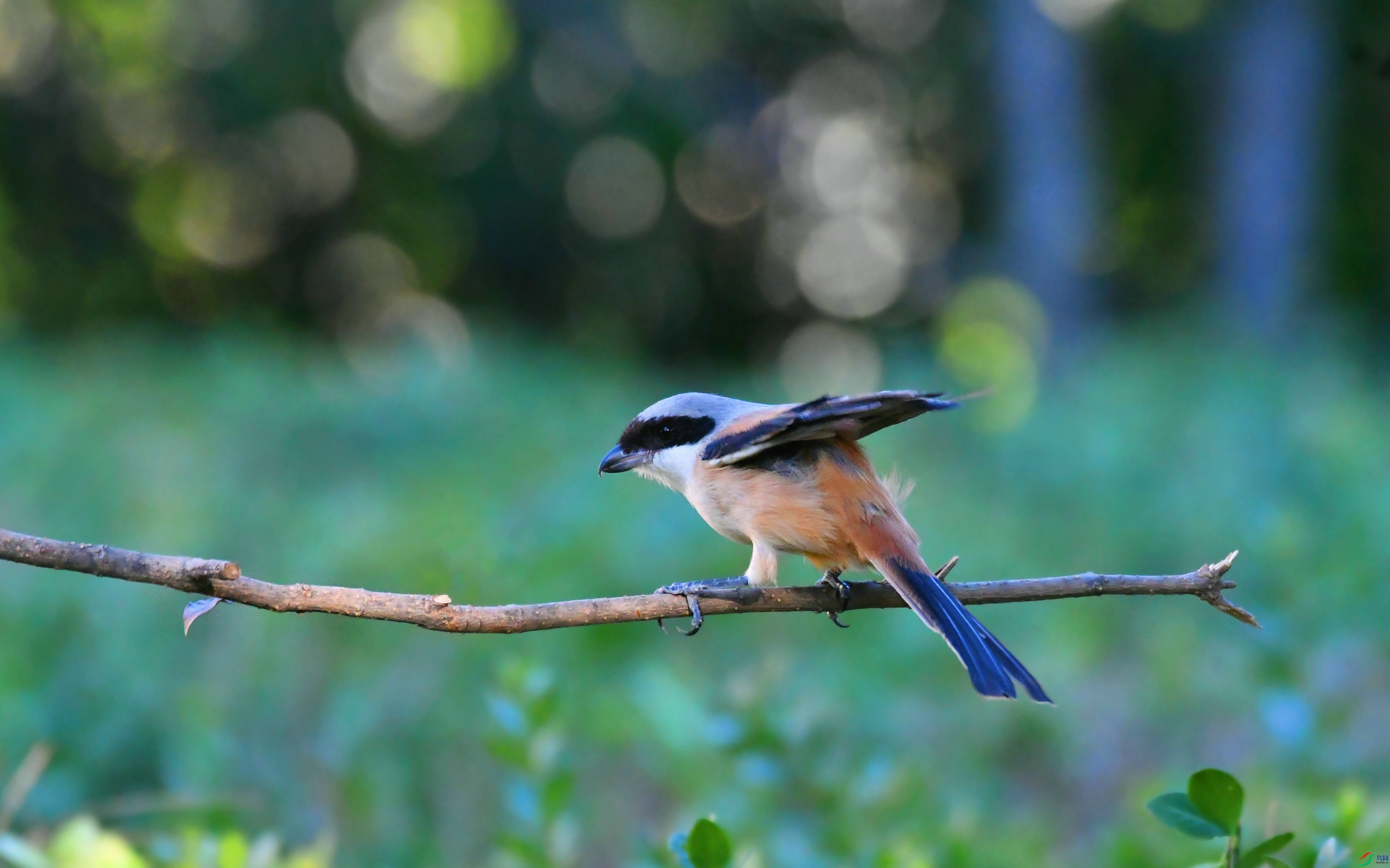 DSC_6156.JPG