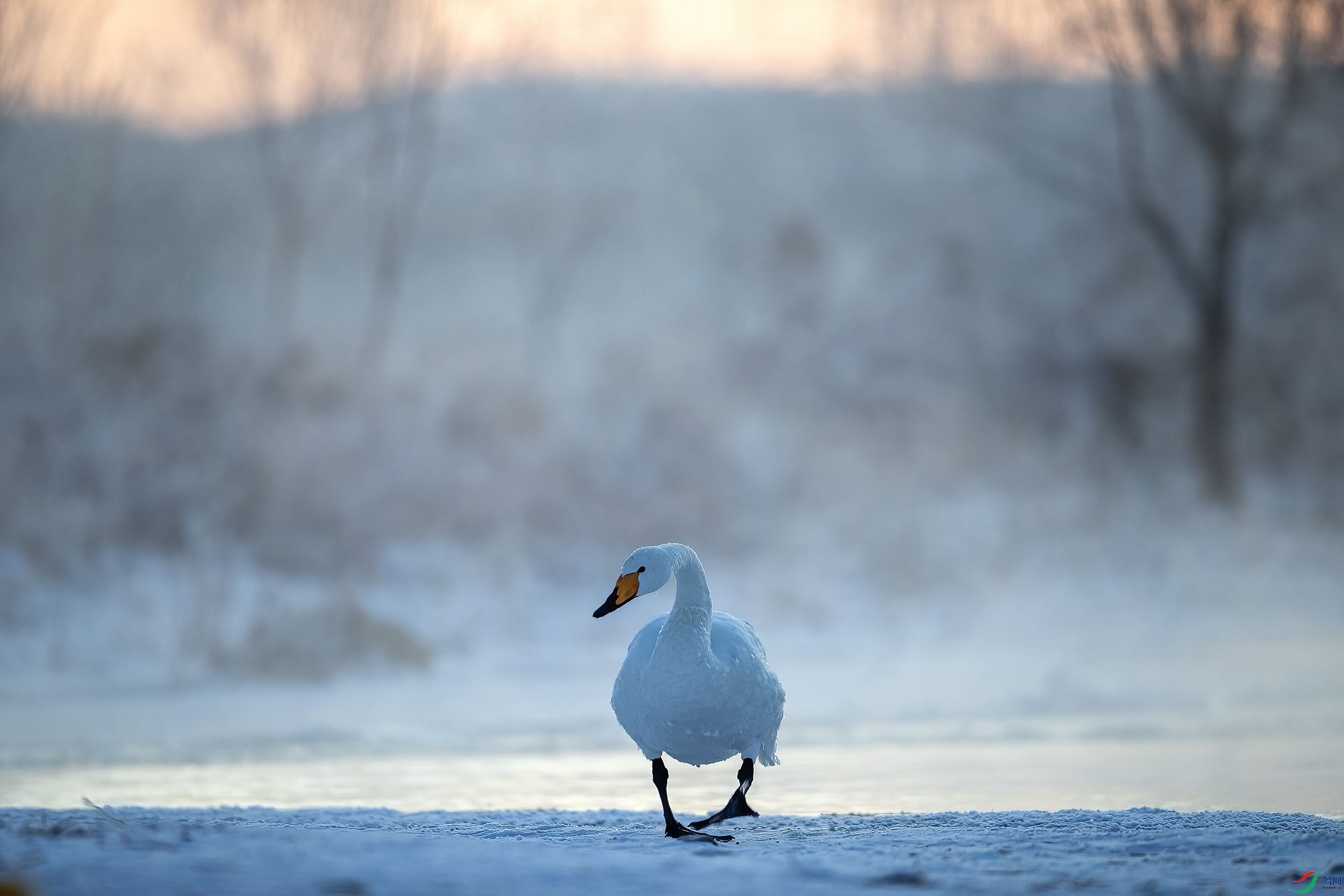 AC3I2048 ����.jpg