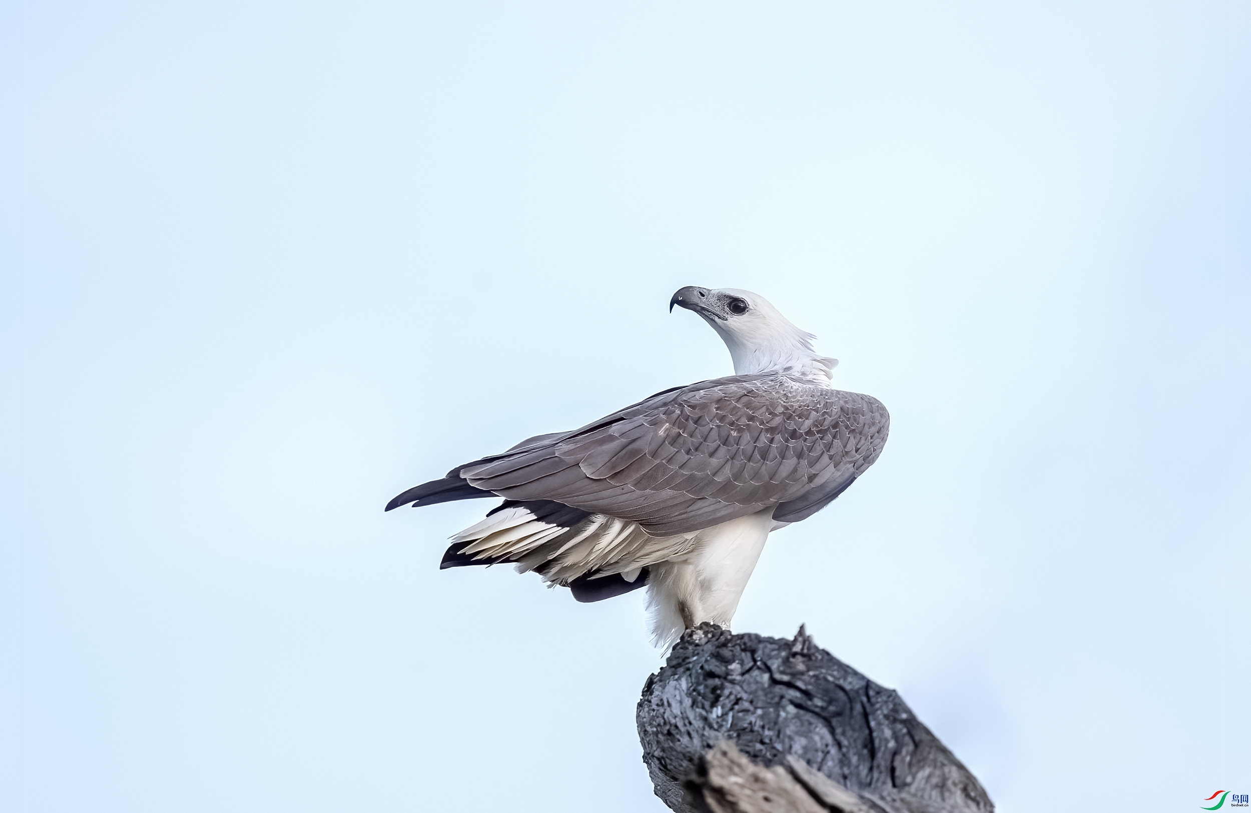 AC3I0558 ����.jpg