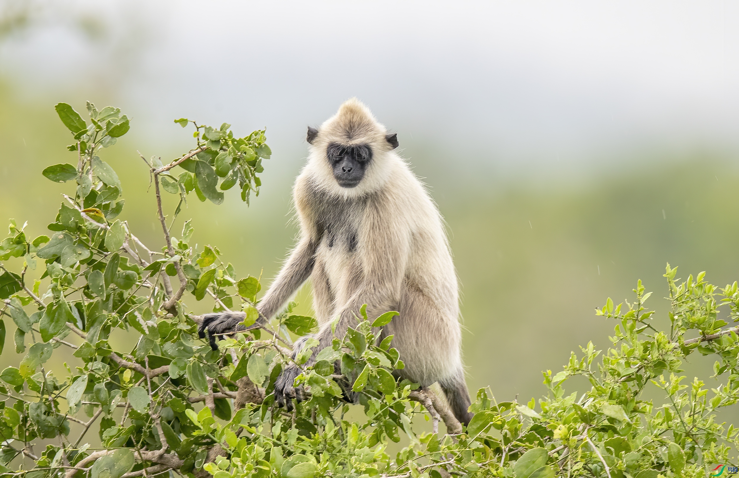 AC3I5307 ����.jpg