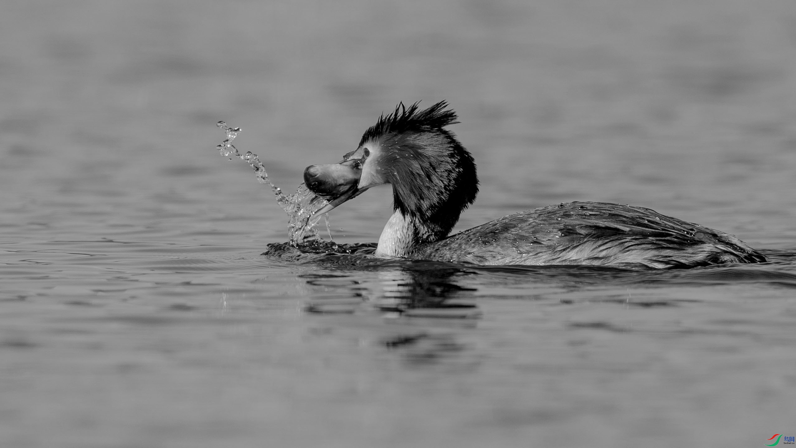 DSC06301AB ����H.jpg