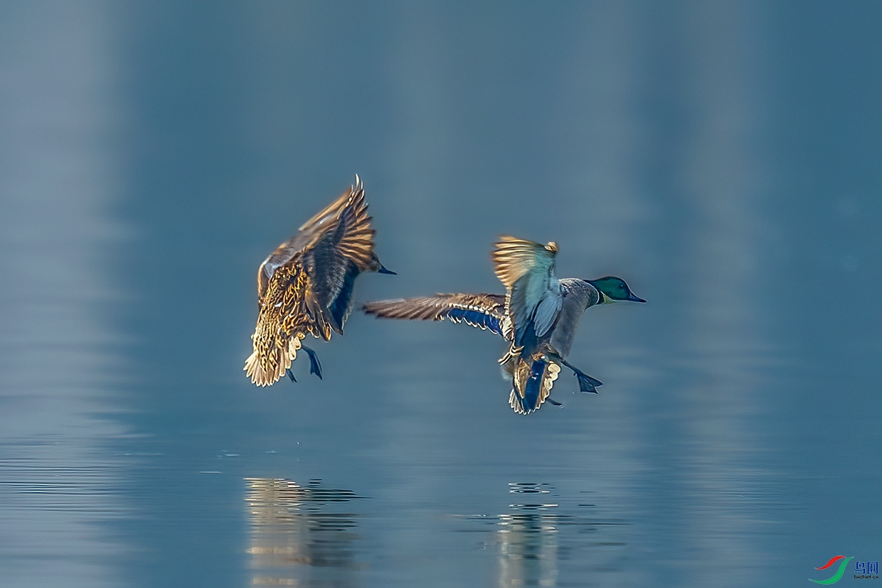 C09R3634 ����.jpg