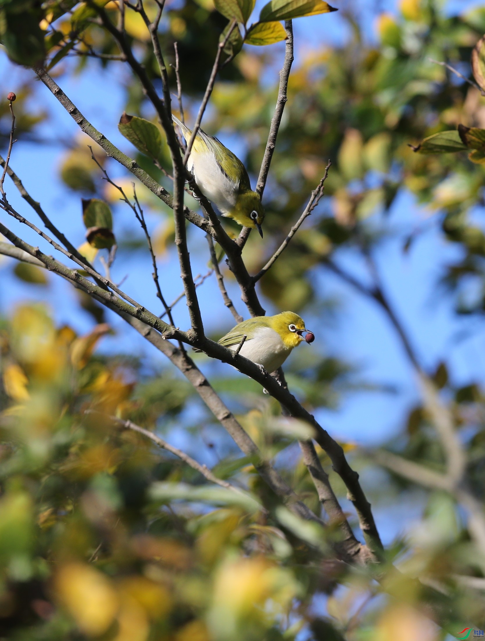 D89P9518.JPG