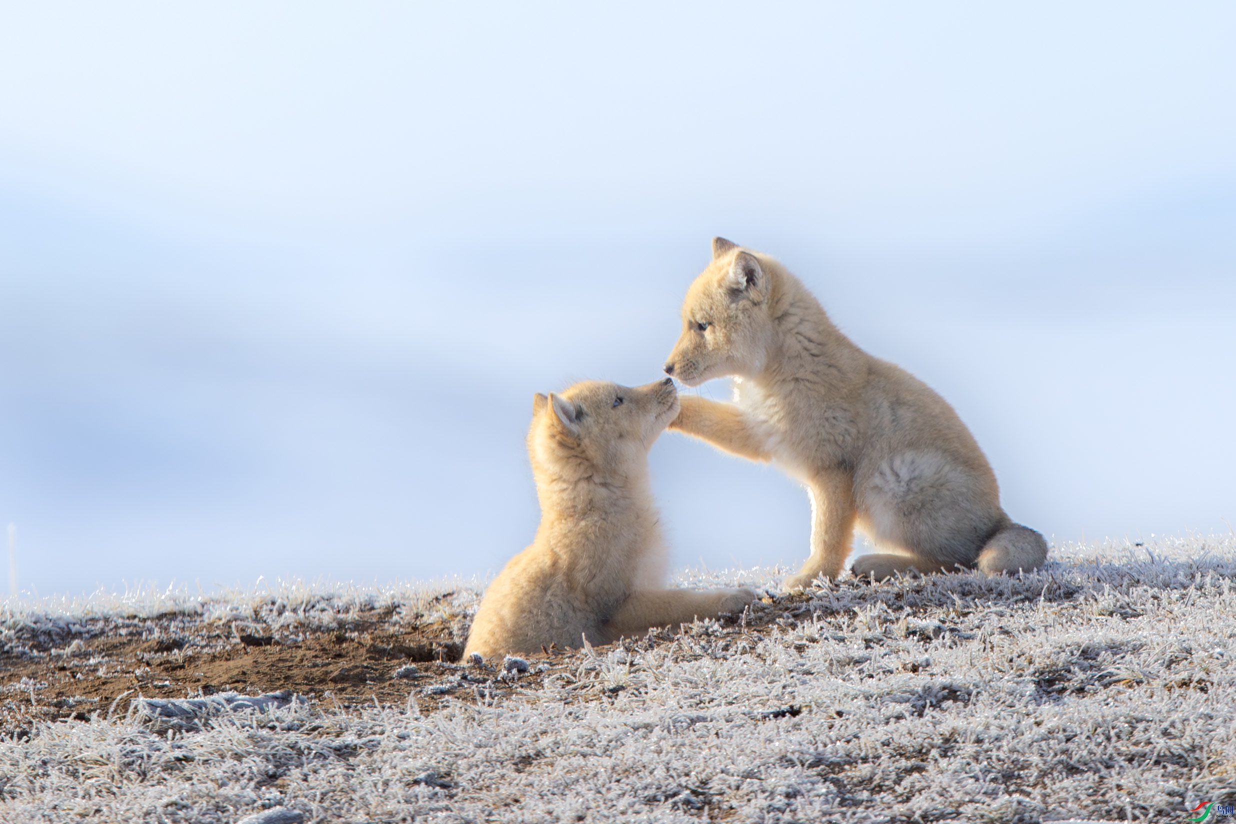 A15I2799-����ǿ-NR ����.jpg