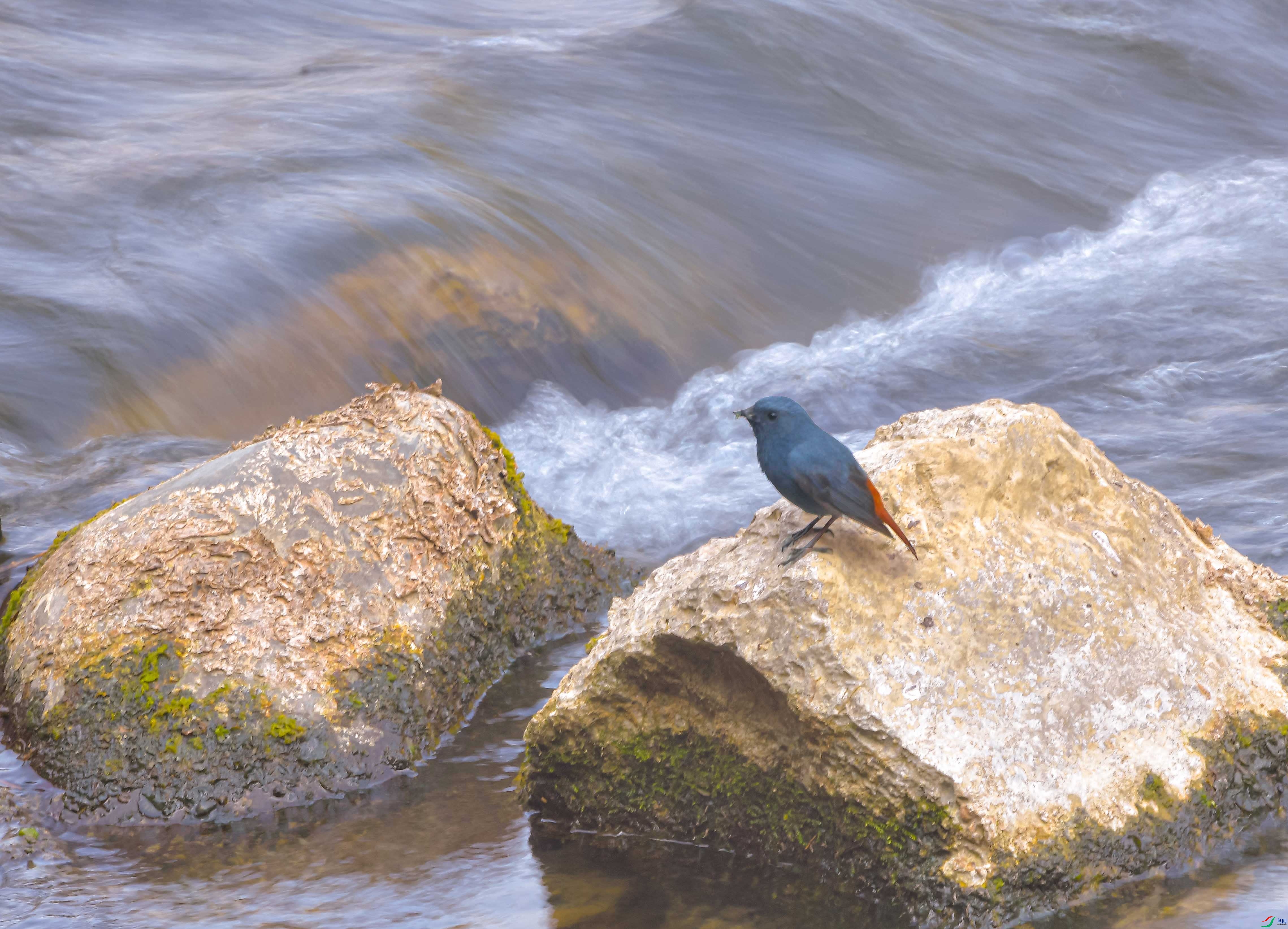 DSC_2265.JPG